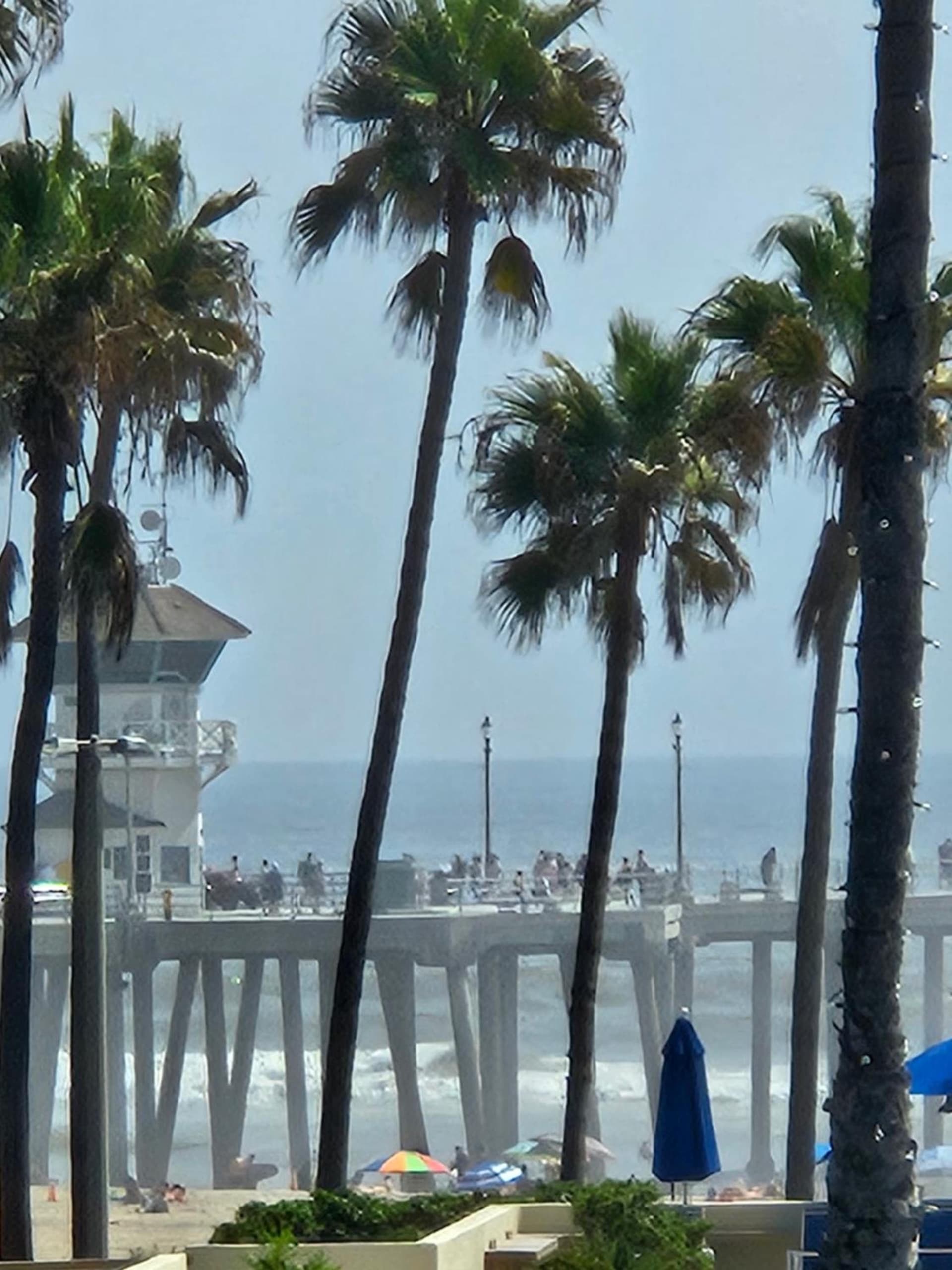 Huntington Surf Inn gallery photo in Huntington Beach, CA — image 37