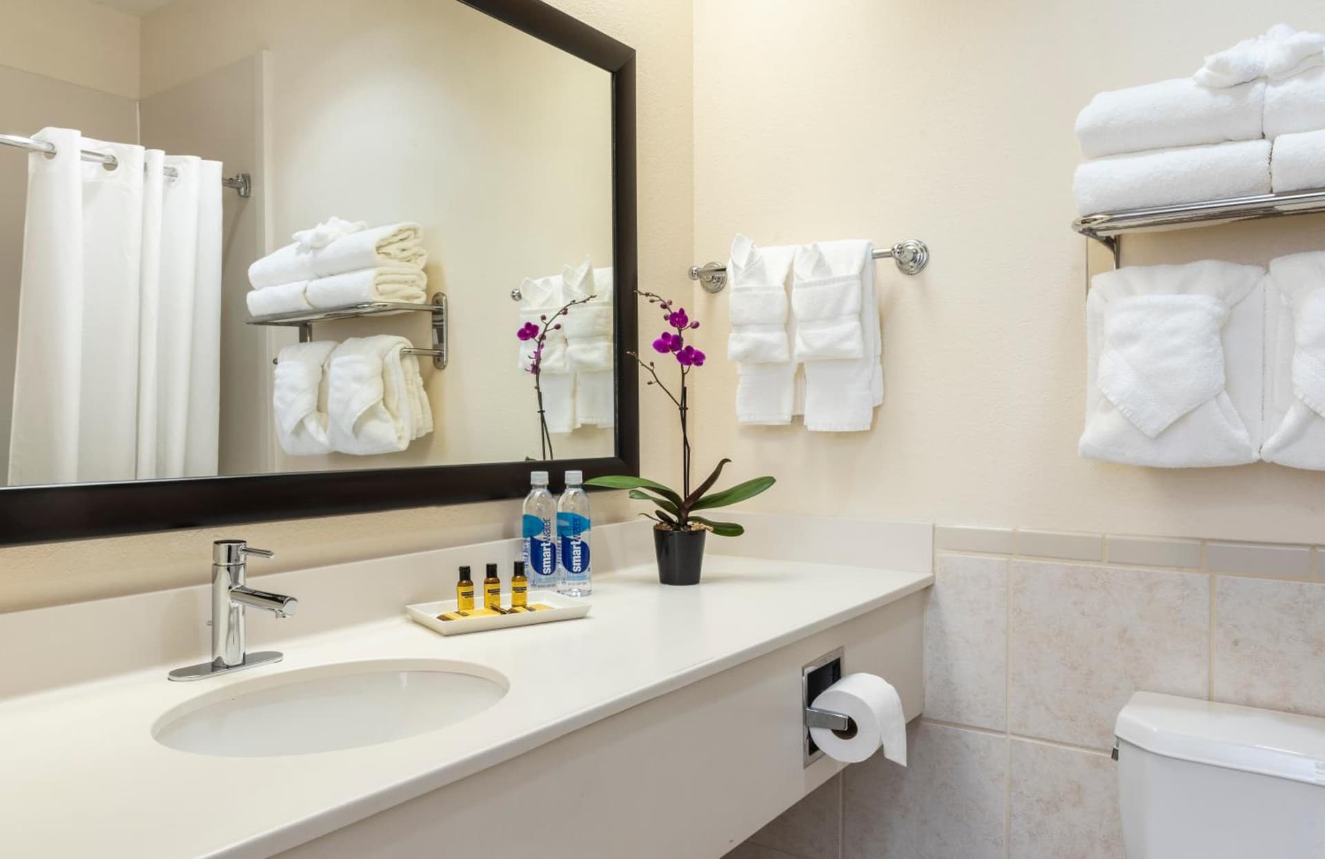 Best Western Plus Downtown Inn & Suites gallery photo in Houston, TX — image 4