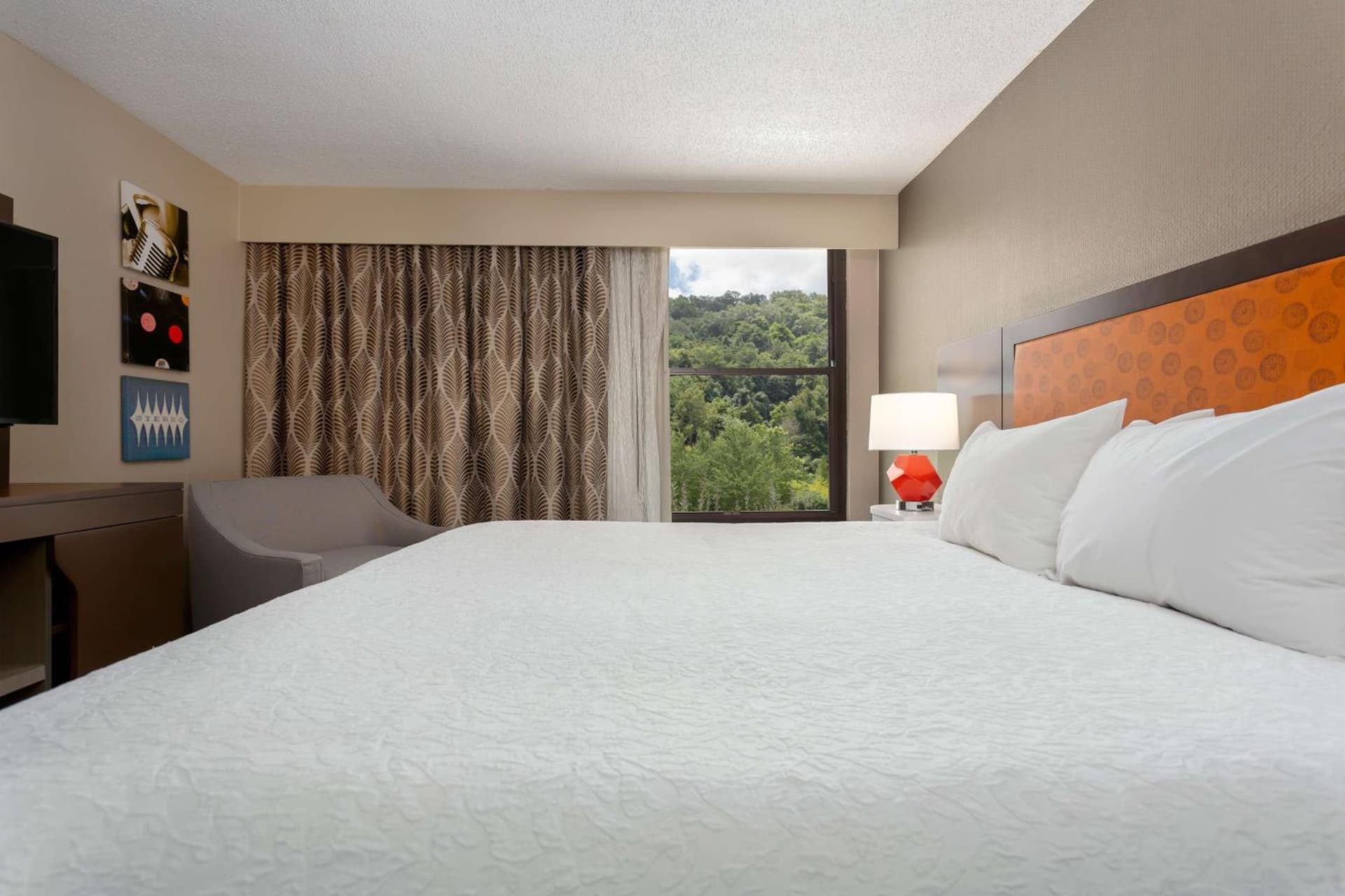Hampton Inn Bristol gallery photo in Bristol, TN — image 22