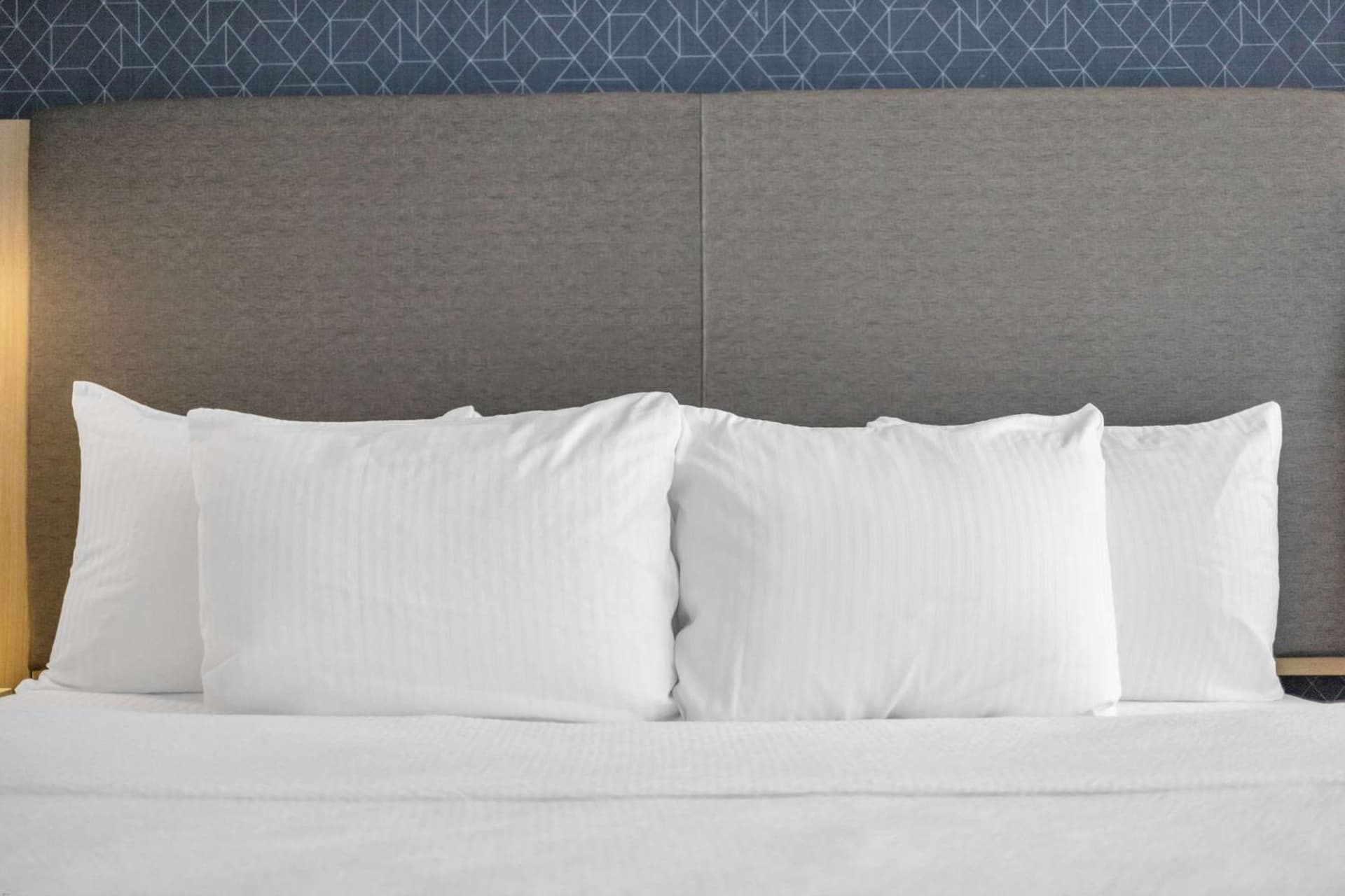 La Quinta Inn & Suites by Wyndham San Jose Airport-Downtown gallery photo in San Jose, CA — image 50
