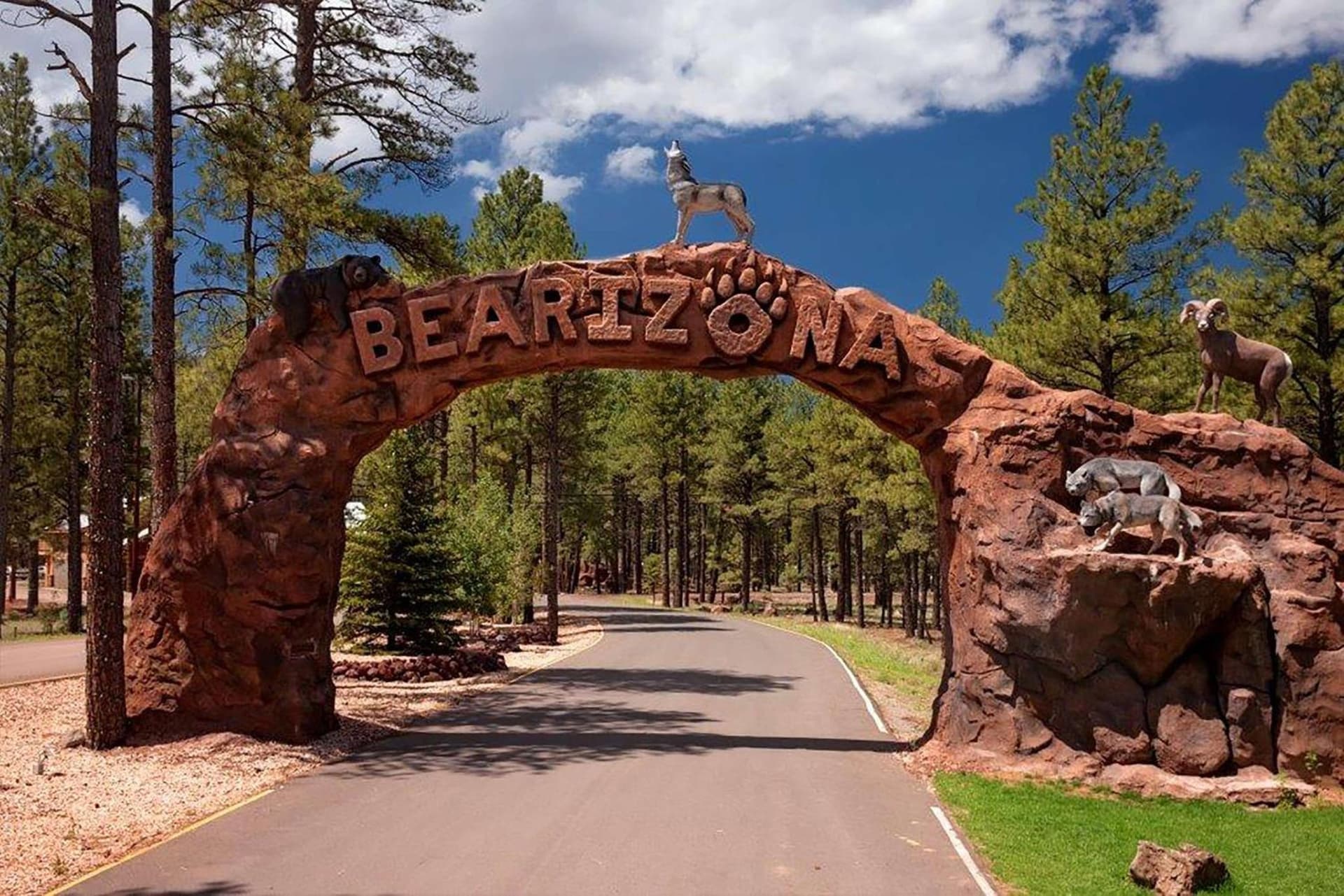 DoubleTree by Hilton Hotel Flagstaff property views in Flagstaff, AZ — gallery photo 3