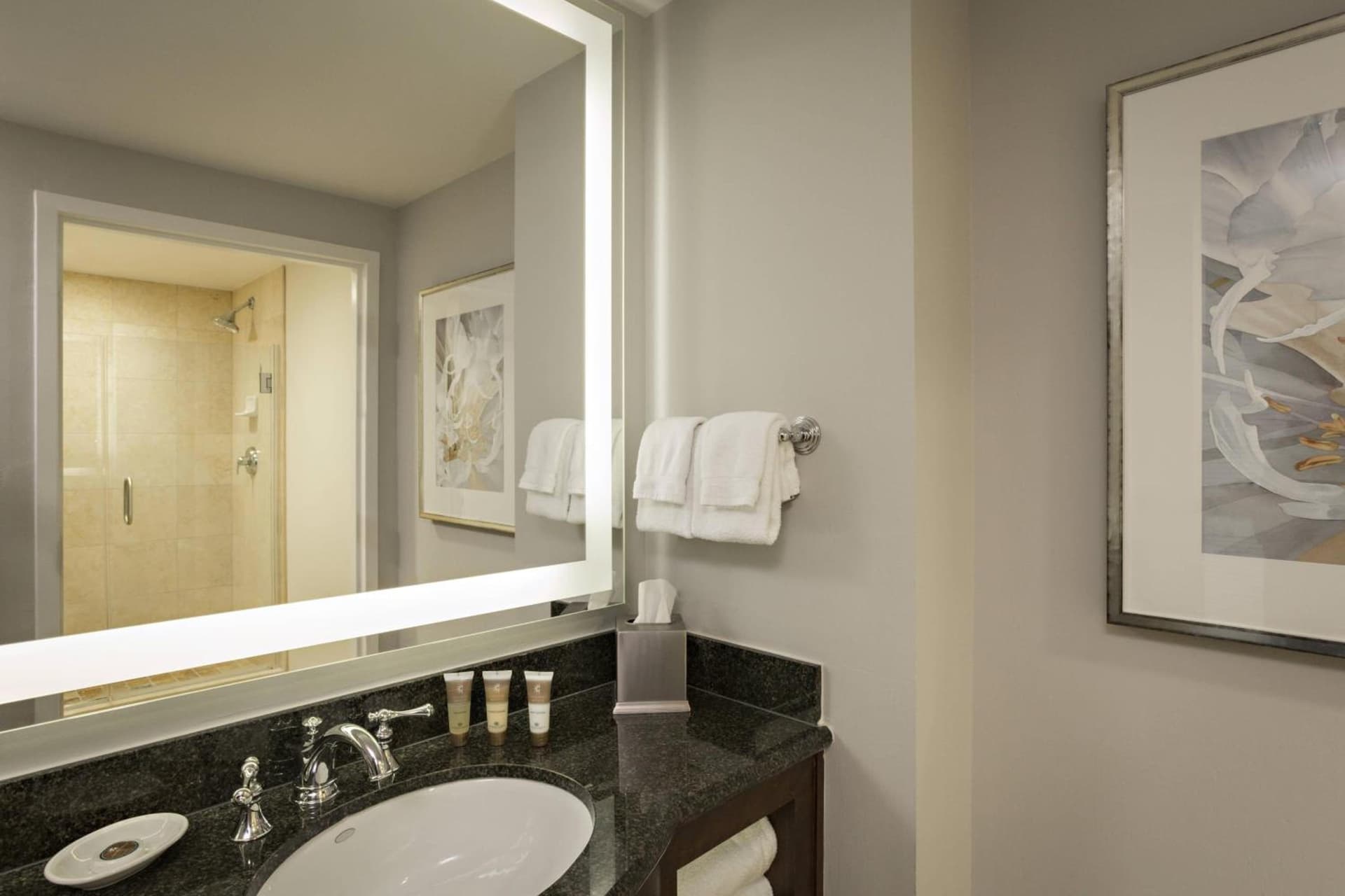 Gaylord Palms Resort & Convention Center gallery photo in Orlando, FL — image 81