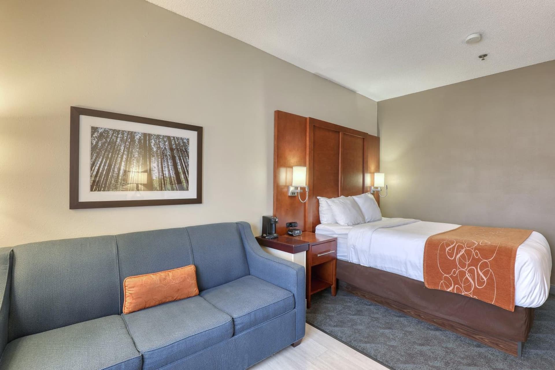 Comfort Suites Appleton Airport gallery photo in Appleton, WI — image 79
