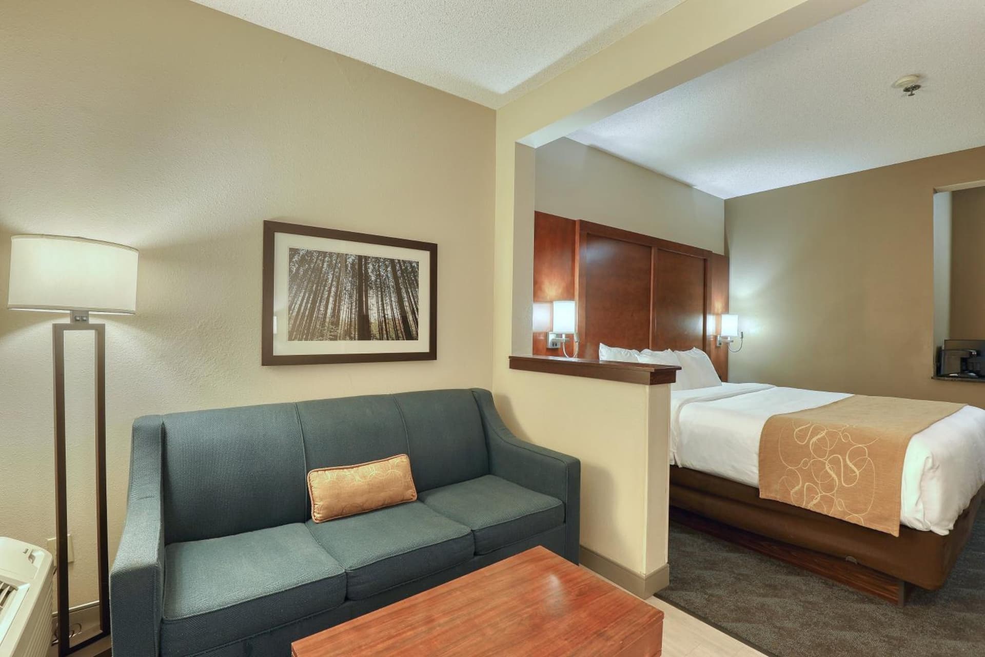 Comfort Suites Appleton Airport gallery photo in Appleton, WI — image 28