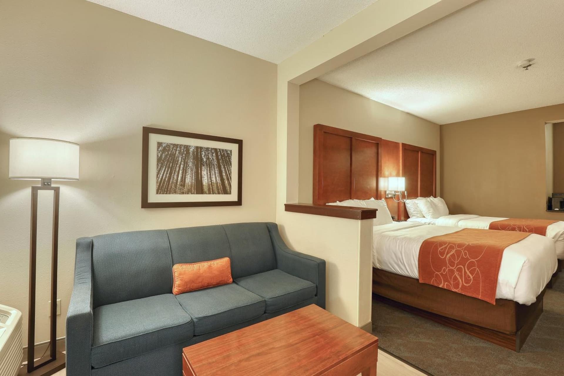 Comfort Suites Appleton Airport gallery photo in Appleton, WI — image 66