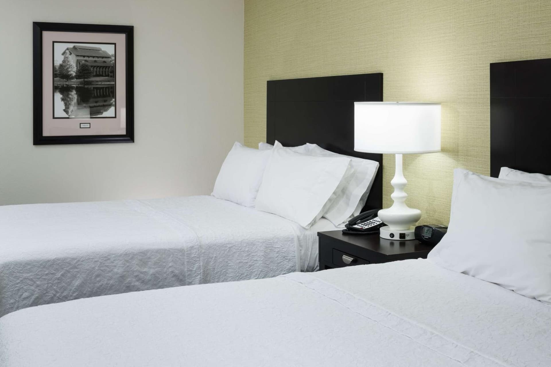 Hampton Inn & Suites Gainesville Downtown gallery photo in Gainesville, FL — image 8