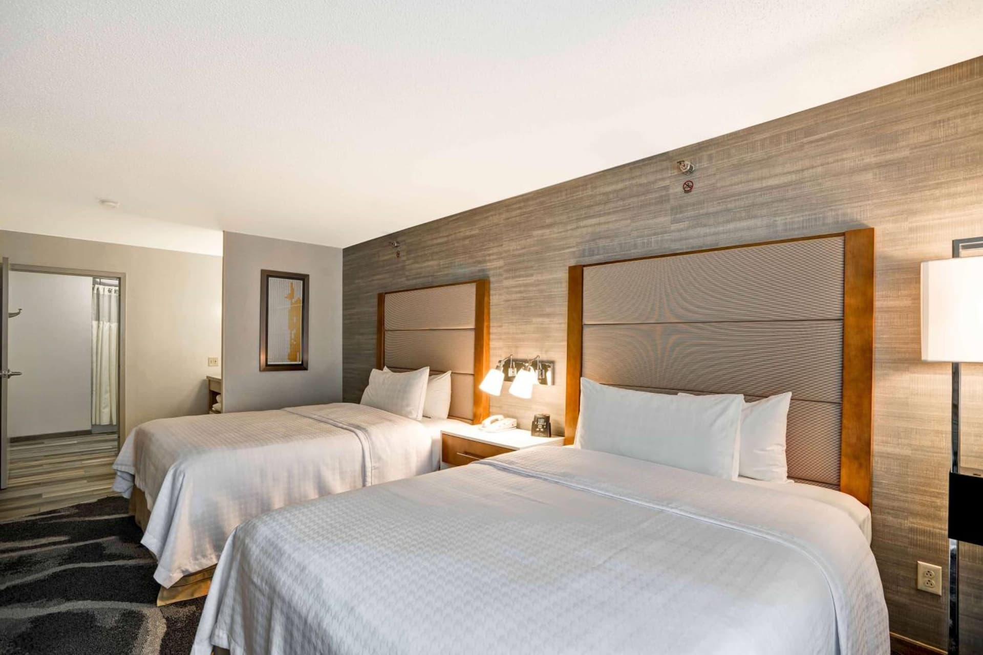 Homewood Suites by Hilton Chicago-Downtown gallery photo in Chicago, IL — image 8