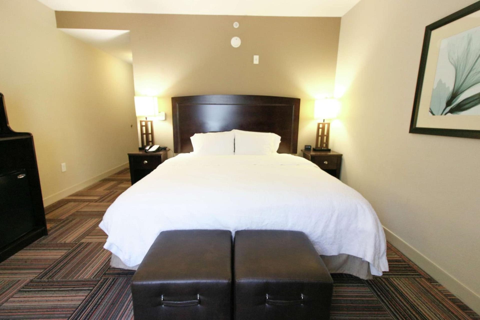 Hampton Inn & Suites Flowery Branch gallery photo in Flowery Branch, GA — image 20