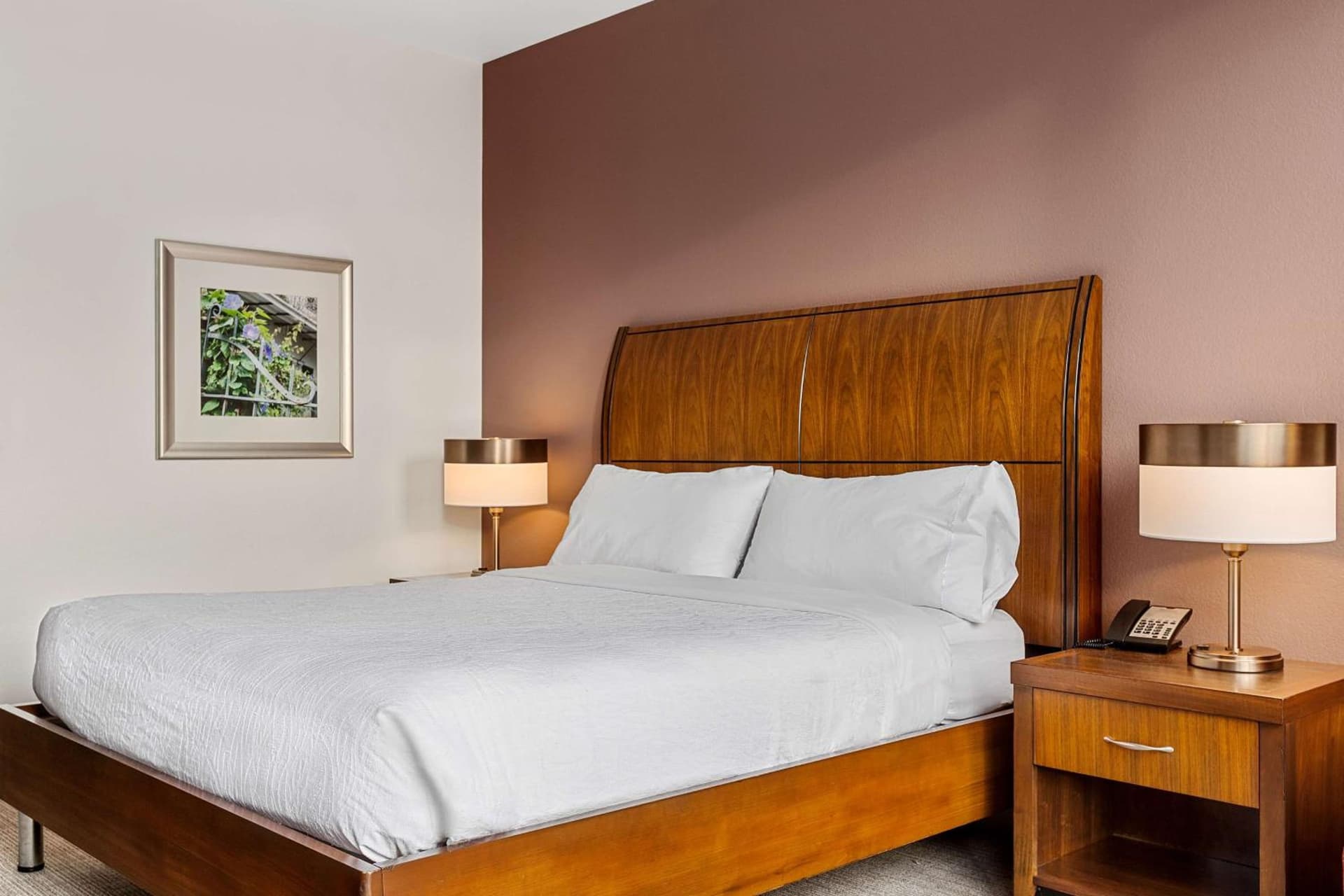 Hilton Garden Inn New Orleans French Quarter/CBD gallery photo in New Orleans, LA — image 53