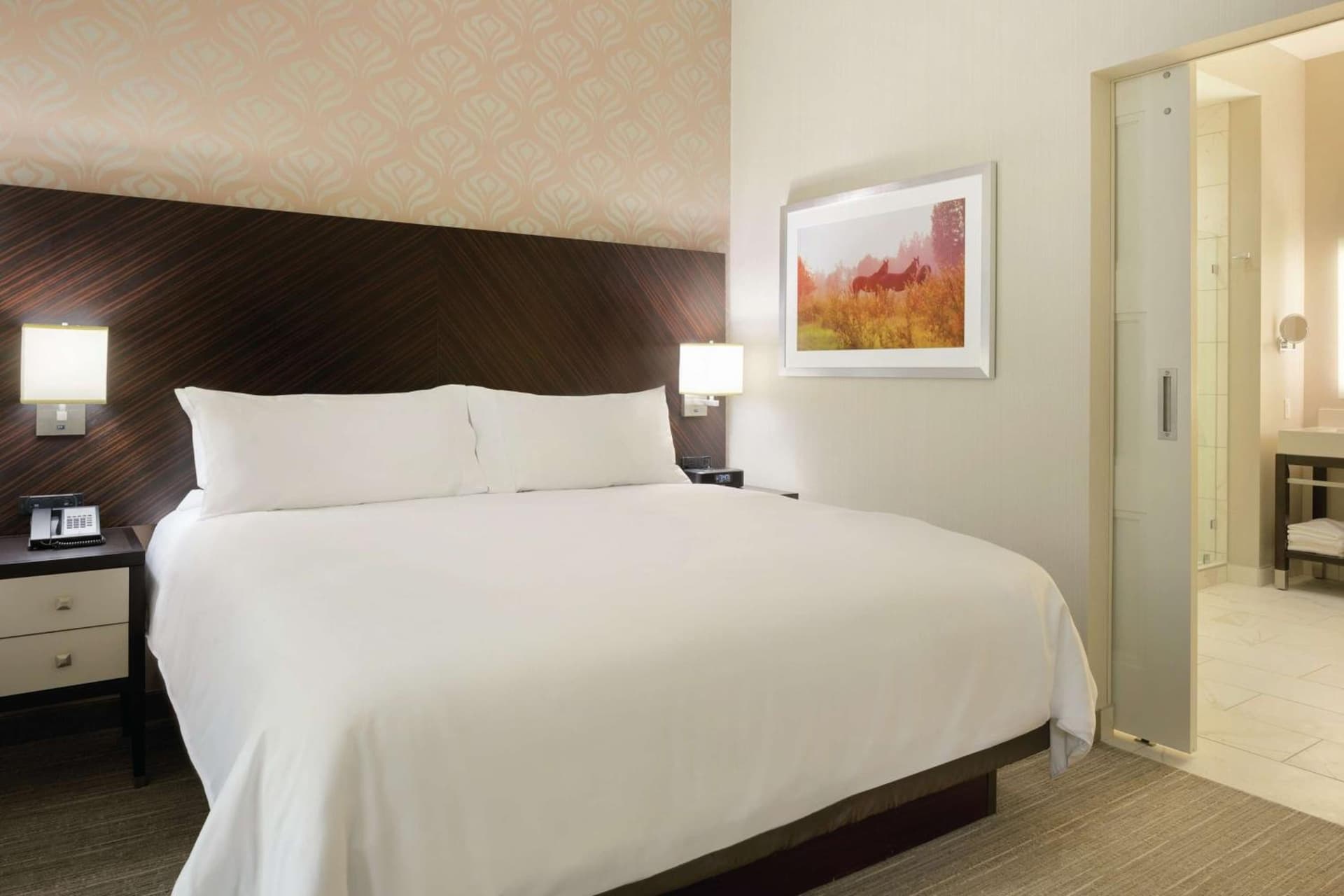 Embassy Suites Louisville Downtown gallery photo in Louisville, KY — image 105