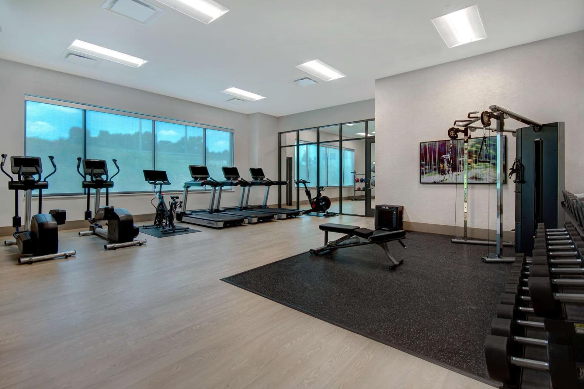 Embassy Suites By Hilton Alpharetta Halcyon gallery photo in Alpharetta, GA — image 12