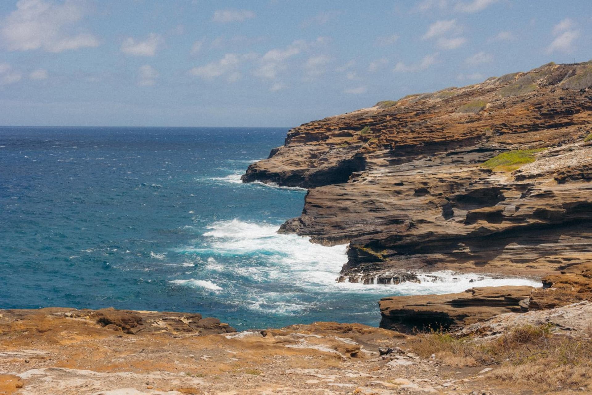 Lotus Honolulu at Diamond Head gallery photo in Honolulu, HI — image 62