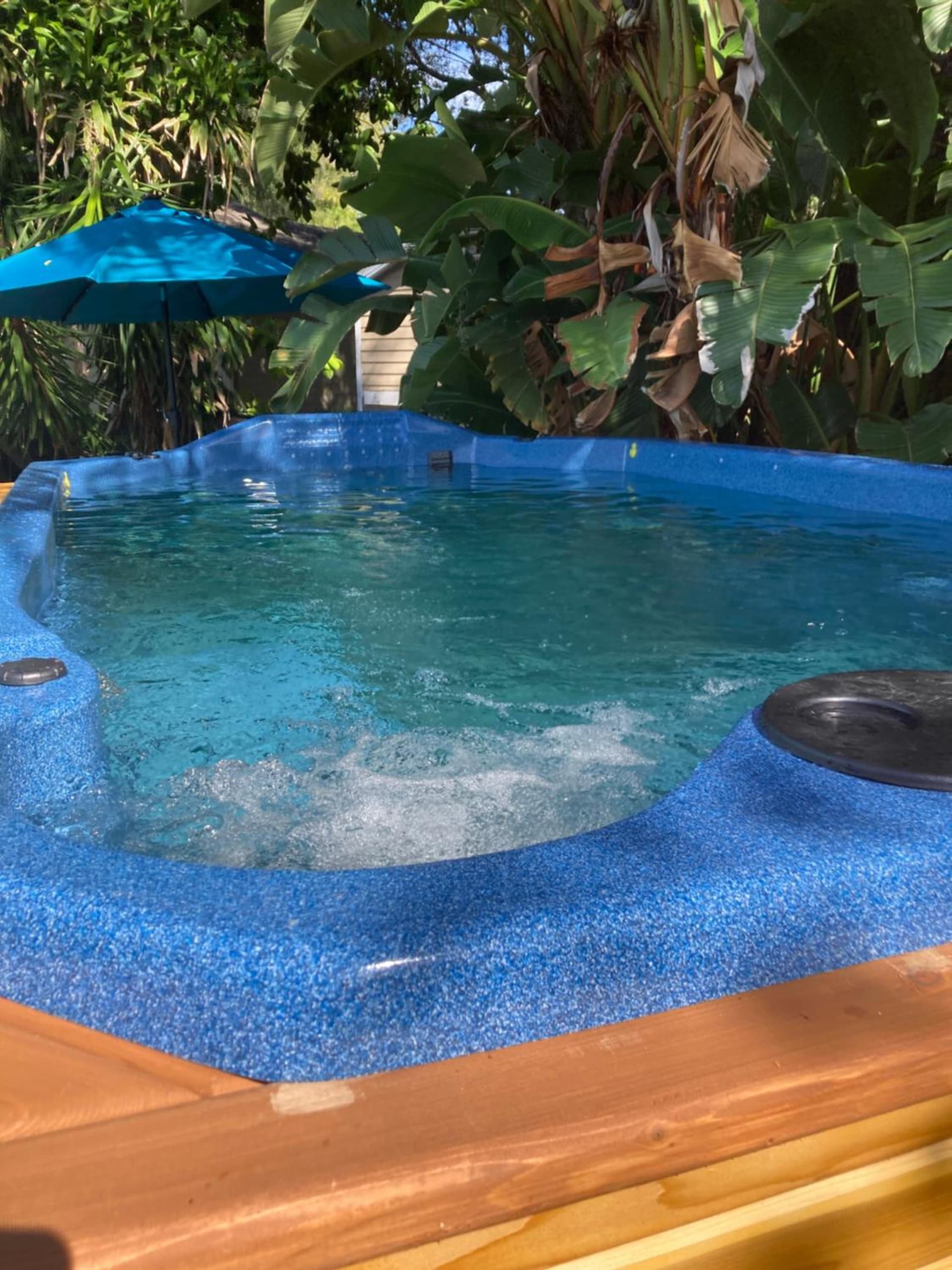 3Gulls Inn Ozona-Boutique Hotel-Steps from Restaurants & Brewery-SwimSpa Pool-Pet Friendly gallery photo in Palm Harbor, FL — image 23