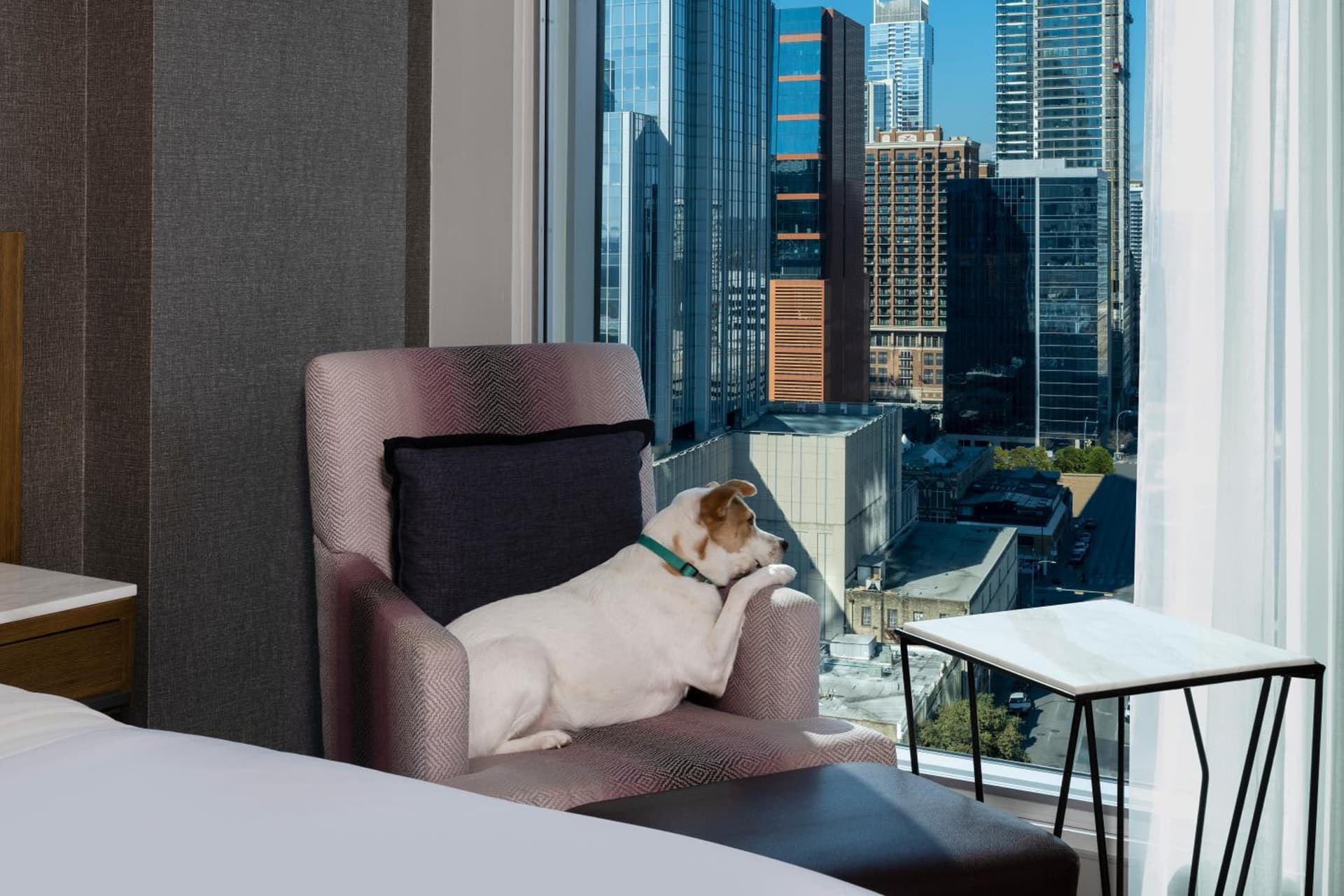 The Westin Austin Downtown interior in Austin, TX — gallery photo 2