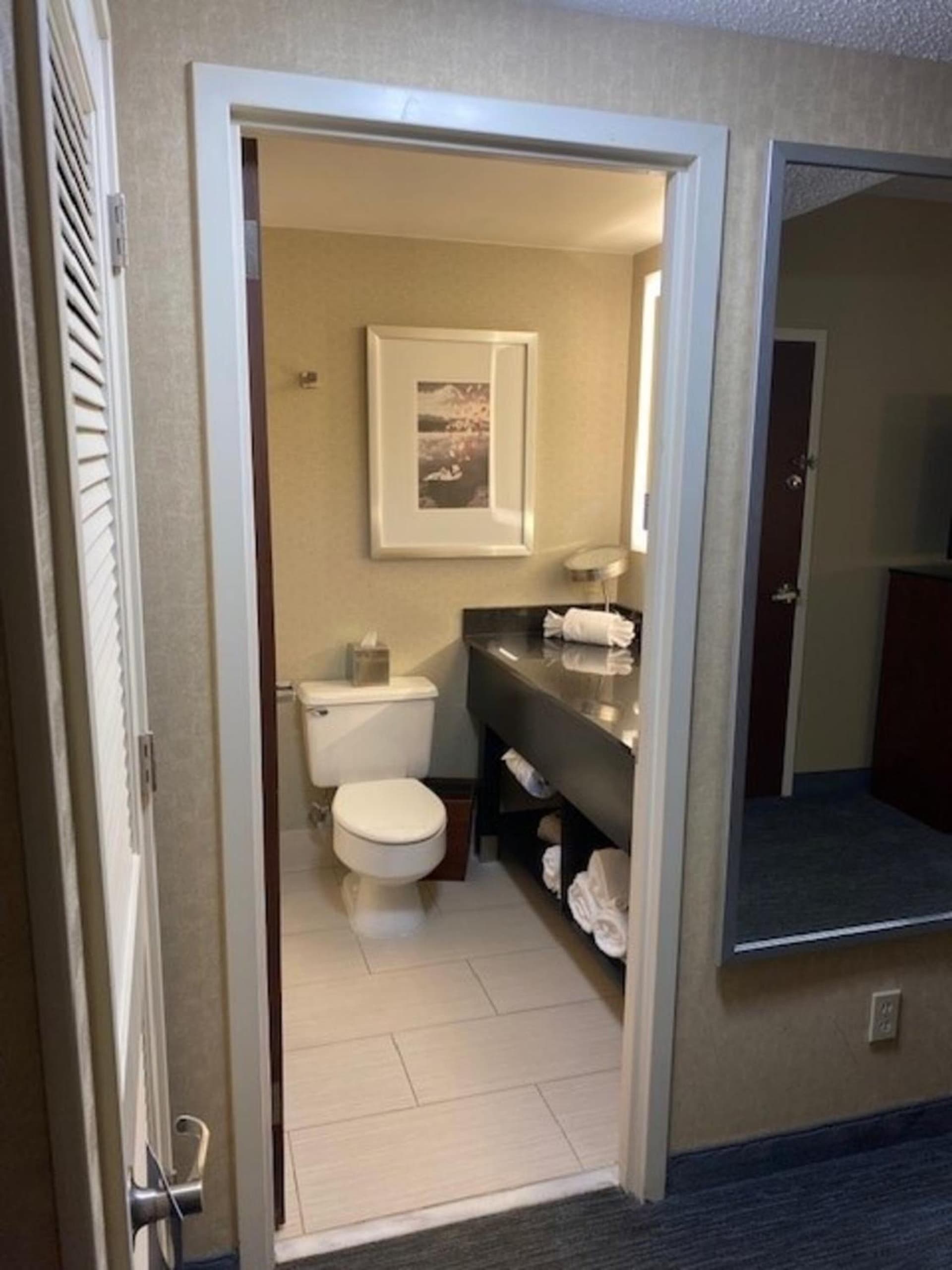 DoubleTree by Hilton Hotel Detroit Novi gallery photo in Novi, MI — image 21