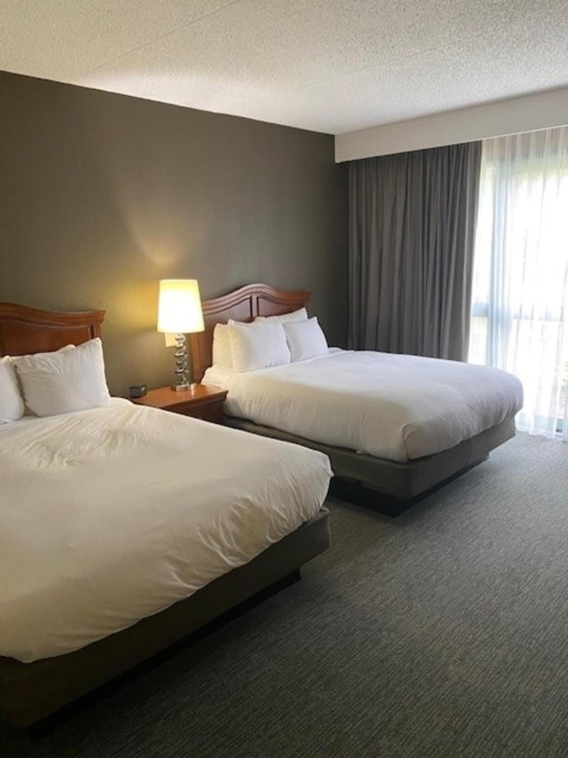 DoubleTree by Hilton Hotel Detroit Novi gallery photo in Novi, MI — image 7