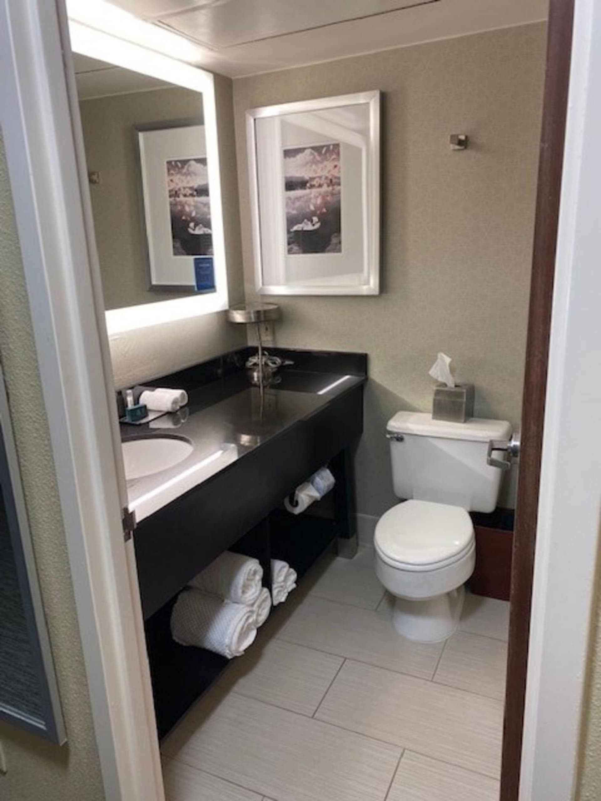 DoubleTree by Hilton Hotel Detroit Novi gallery photo in Novi, MI — image 32