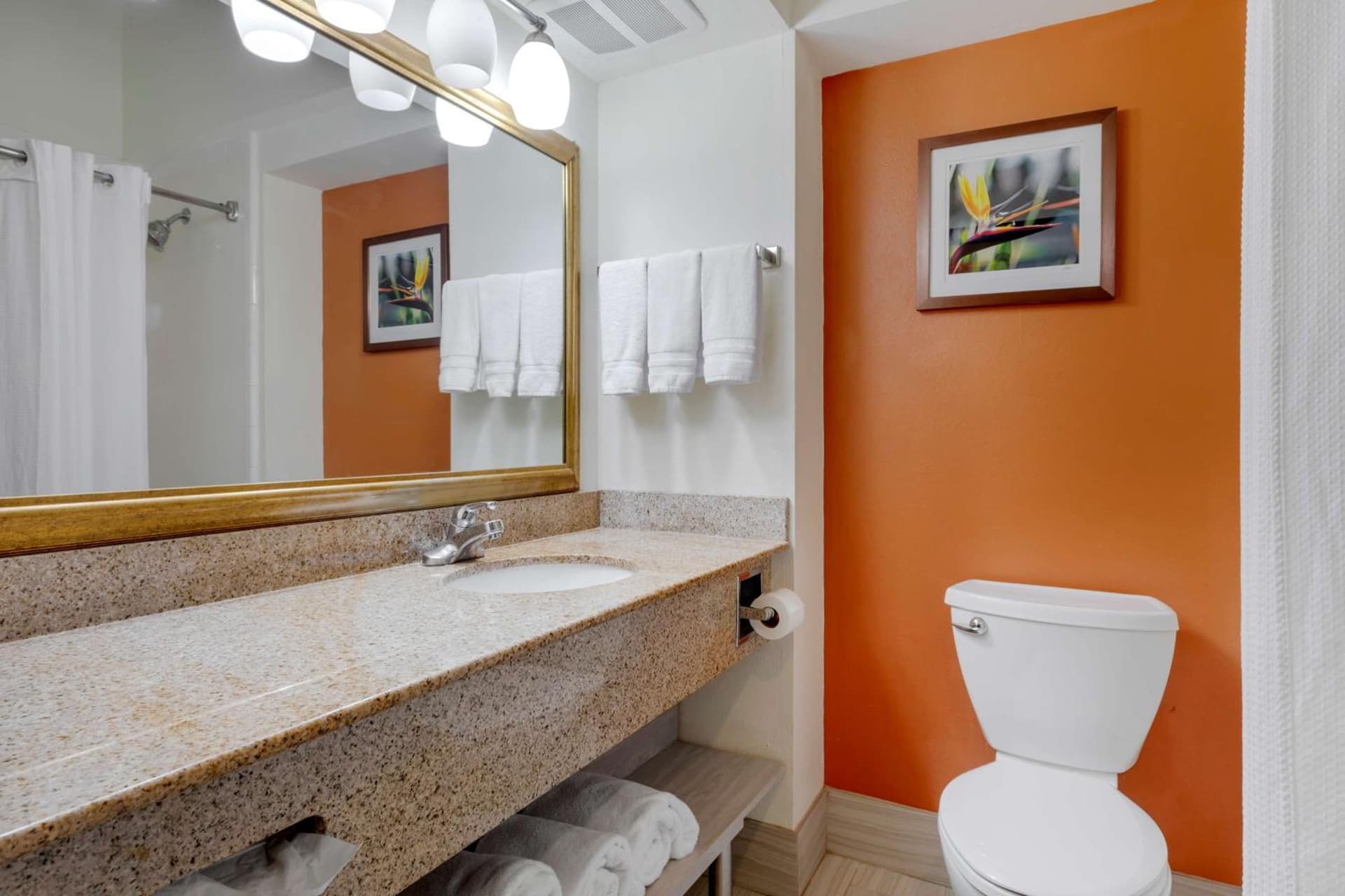 Best Western Plus Rockwall Inn & Suites property views in Rockwall, TX — gallery photo 3