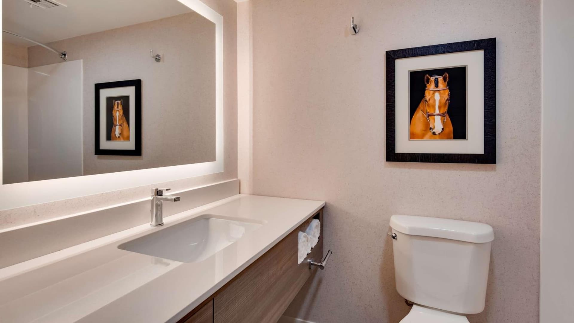 Aiden by Best Western Scottsdale North gallery photo in Scottsdale, AZ — image 23