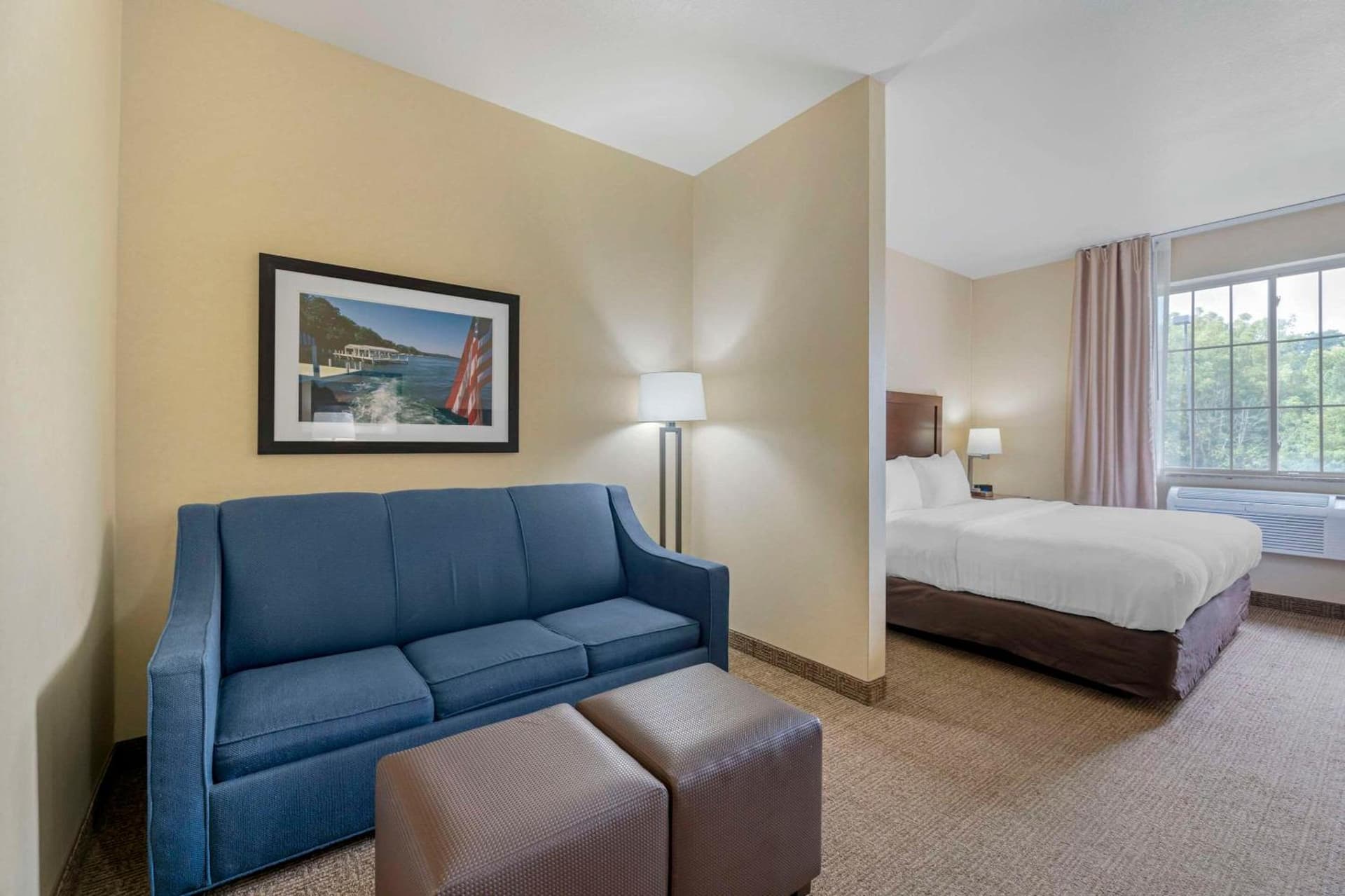 Comfort Suites Lake Geneva East gallery photo in Lake Geneva, WI — image 30