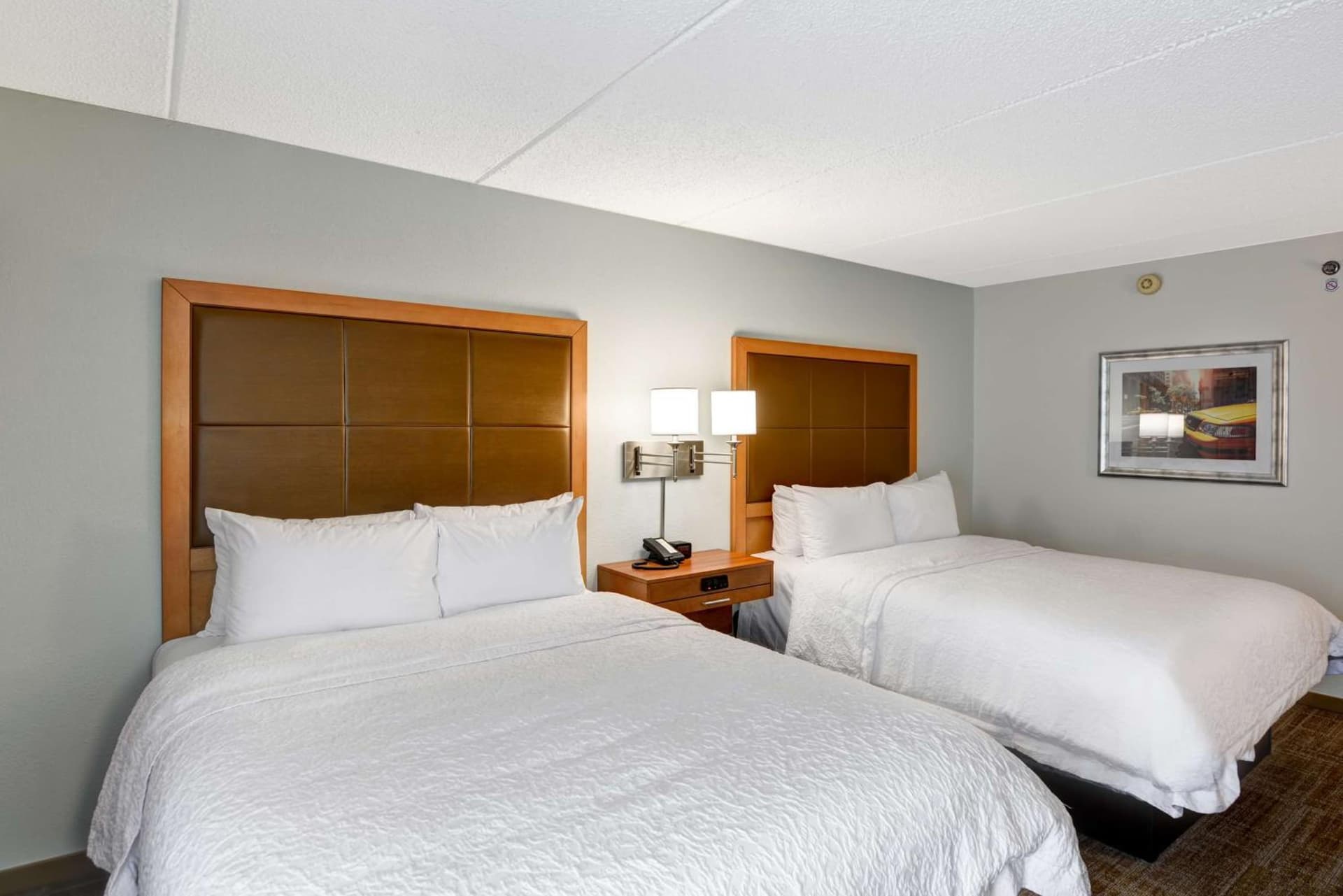 Hampton Inn Albany-Wolf Road gallery photo in Albany, NY — image 17
