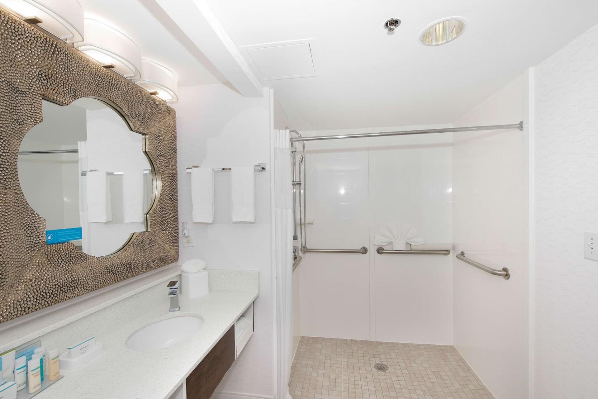 Hampton Inn & Suites Atlanta-Galleria gallery photo in Atlanta, GA — image 43