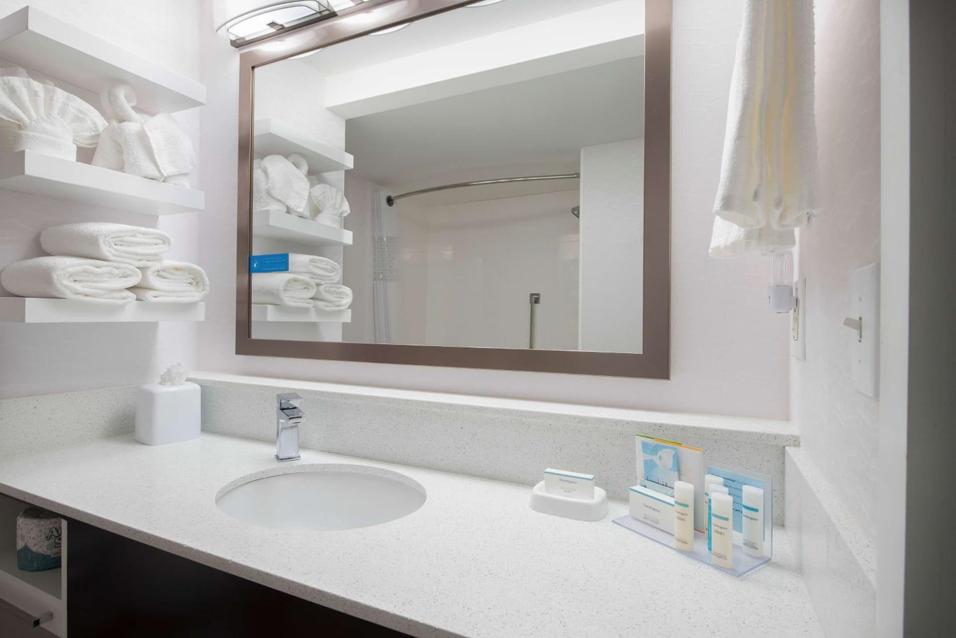Hampton Inn & Suites Atlanta-Galleria gallery photo in Atlanta, GA — image 51