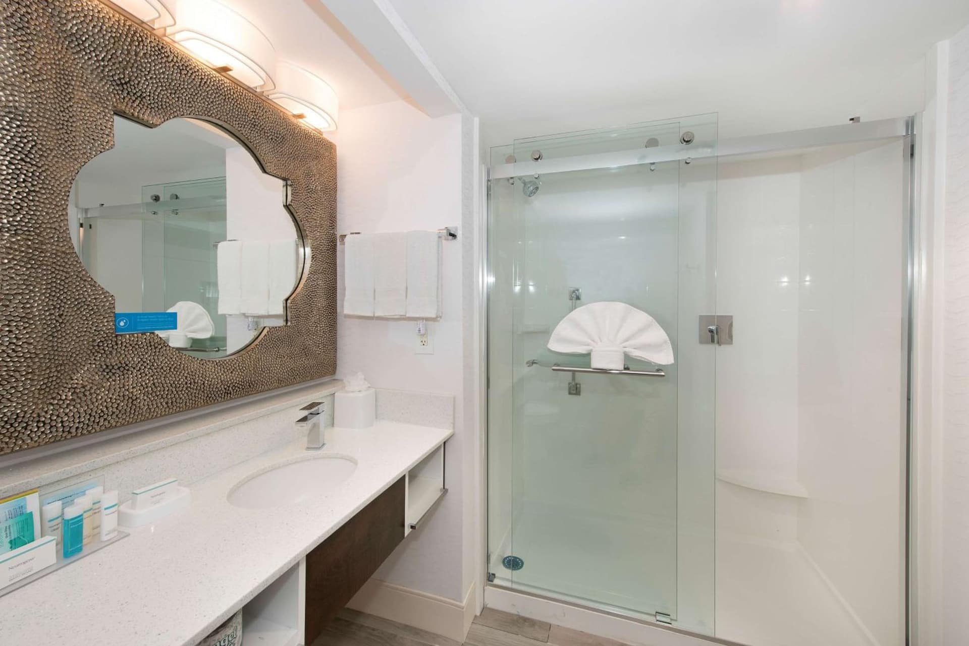 Hampton Inn & Suites Atlanta-Galleria gallery photo in Atlanta, GA — image 47