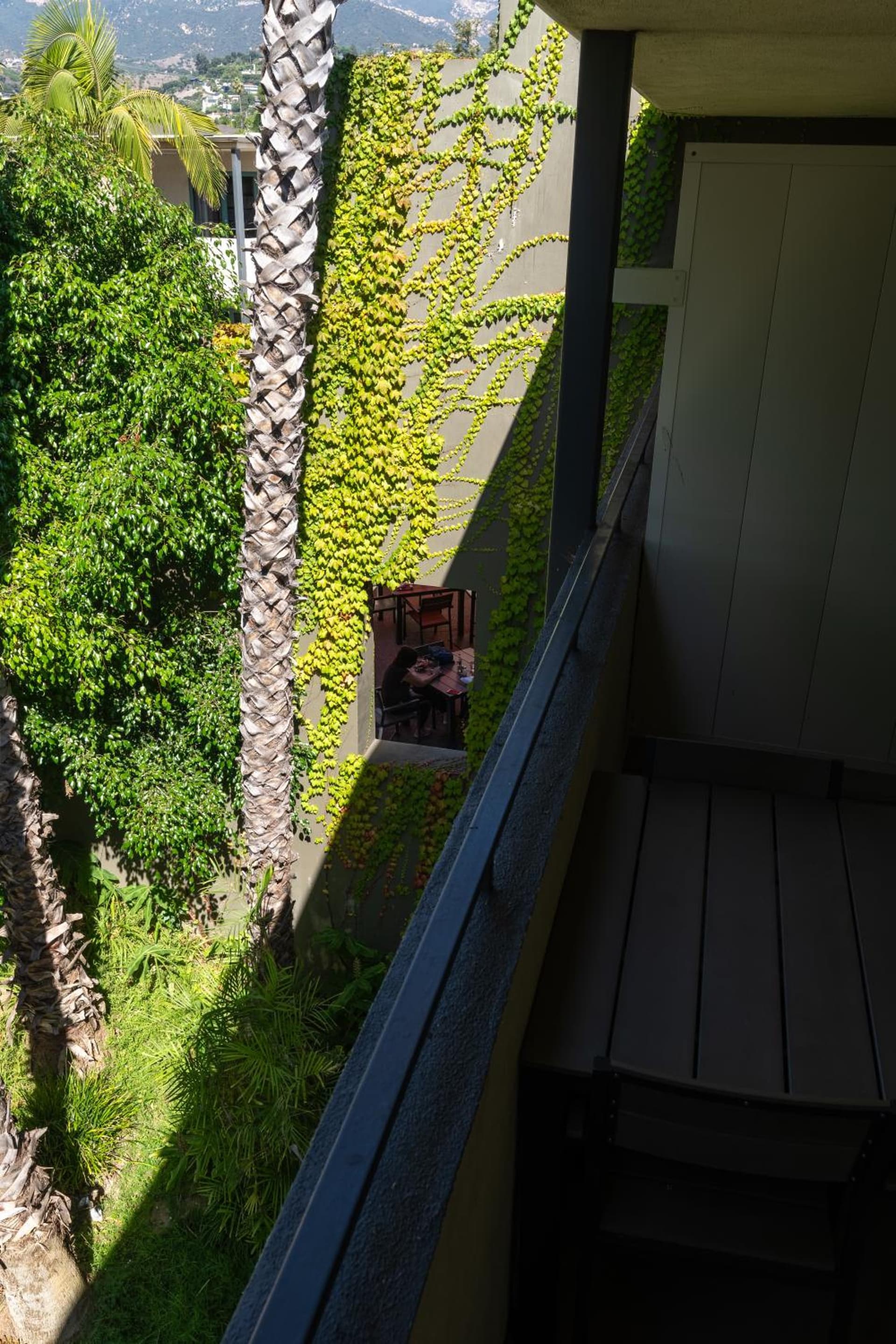 Lemon Tree Inn gallery photo in Santa Barbara, CA — image 26