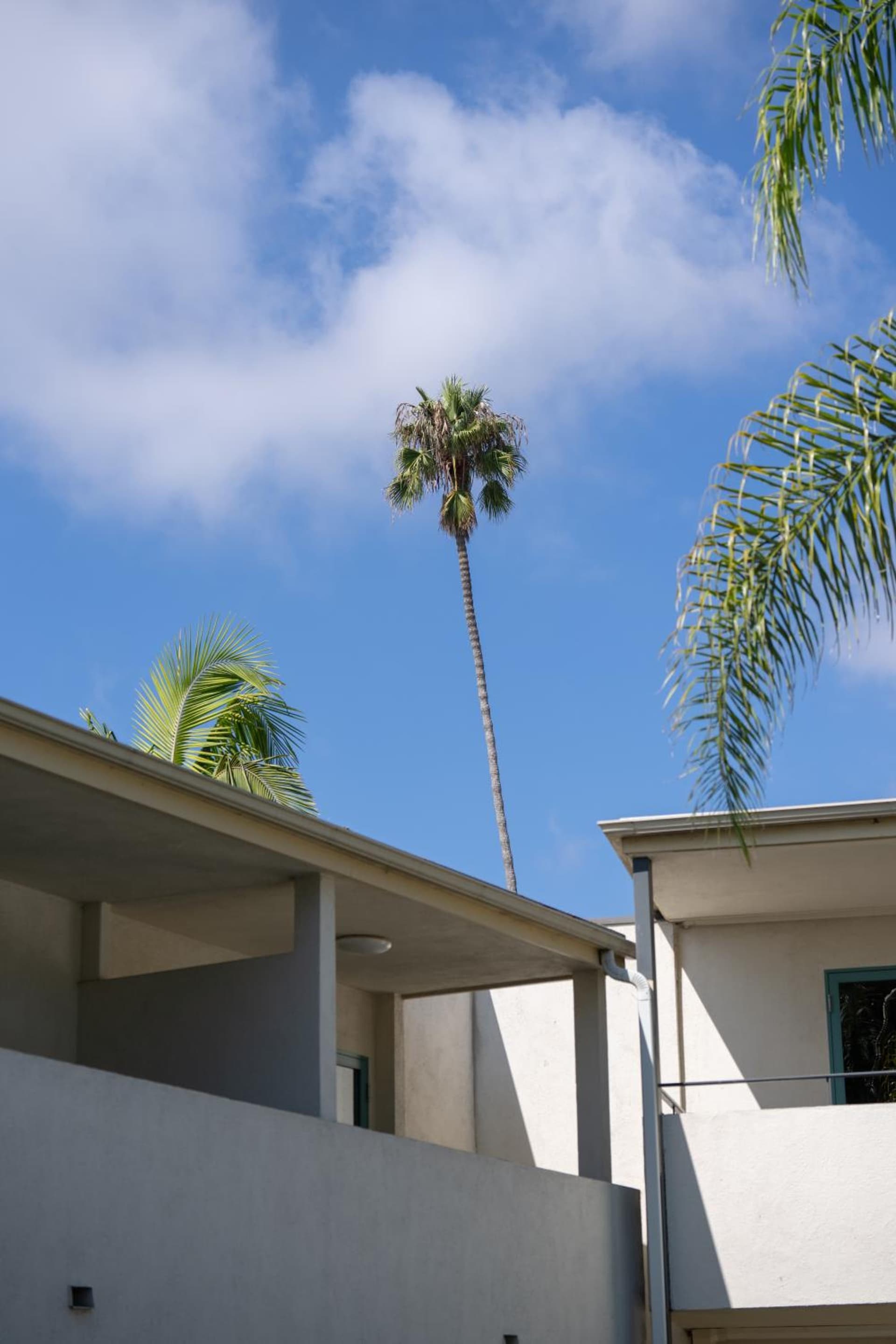 Lemon Tree Inn gallery photo in Santa Barbara, CA — image 10
