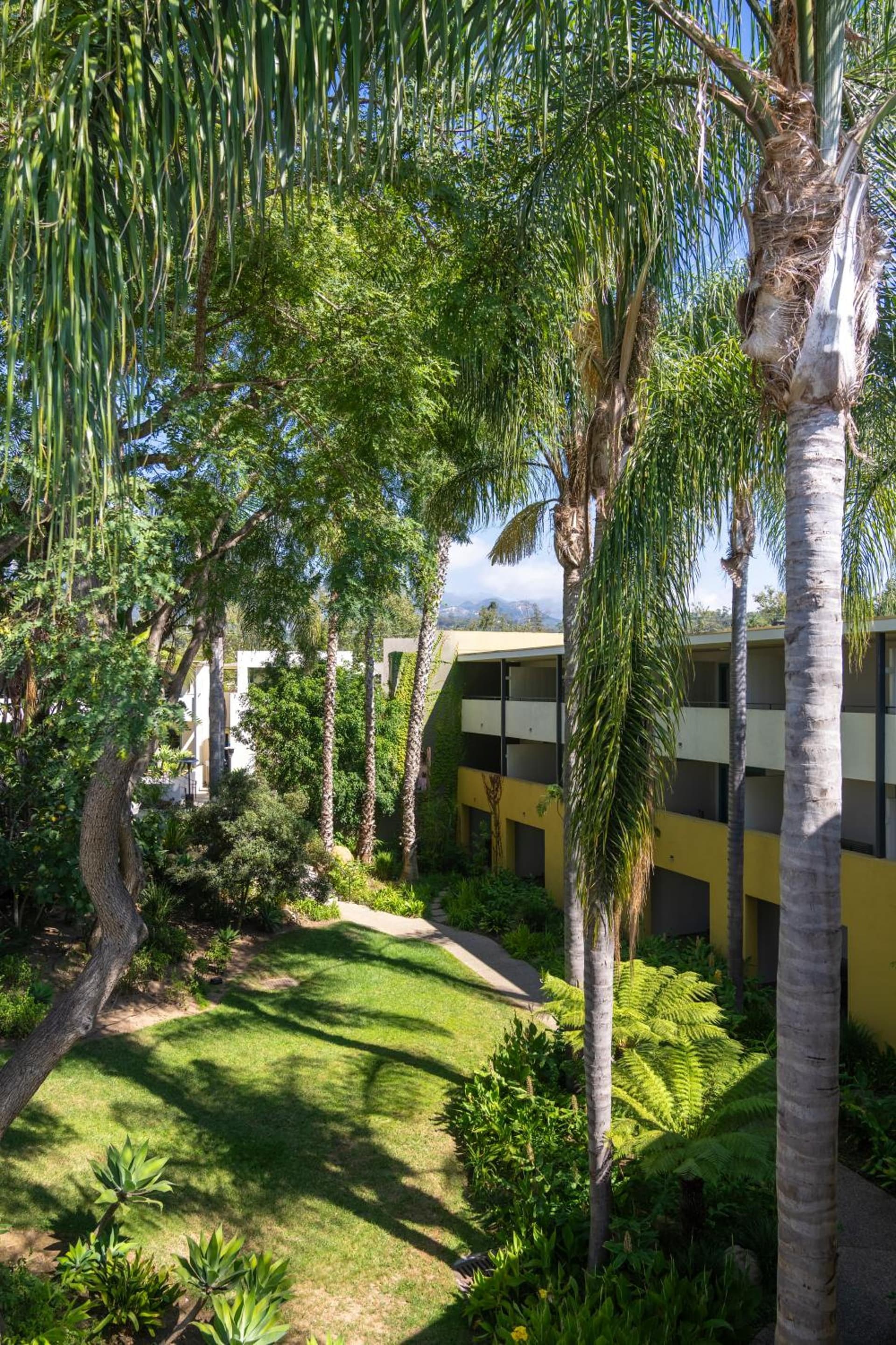 Lemon Tree Inn gallery photo in Santa Barbara, CA — image 8