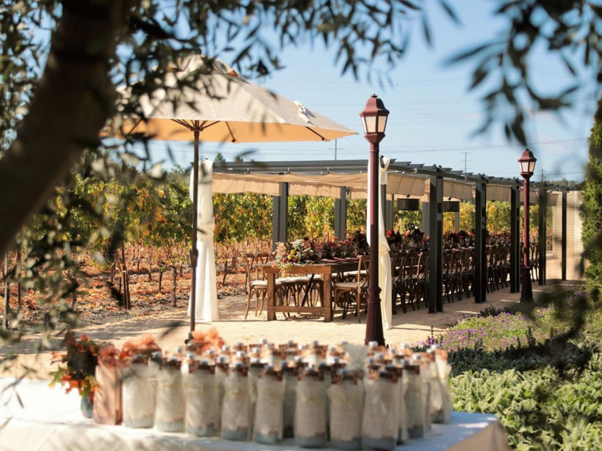 Vinarosa Resort & Spa gallery photo in Santa Rosa, CA — image 90