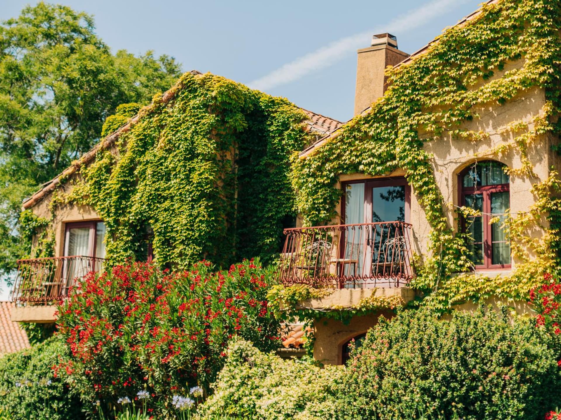 Vinarosa Resort & Spa gallery photo in Santa Rosa, CA — image 56