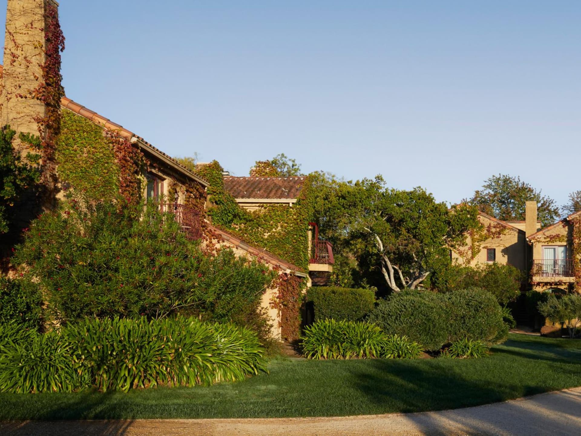 Vinarosa Resort & Spa gallery photo in Santa Rosa, CA — image 9
