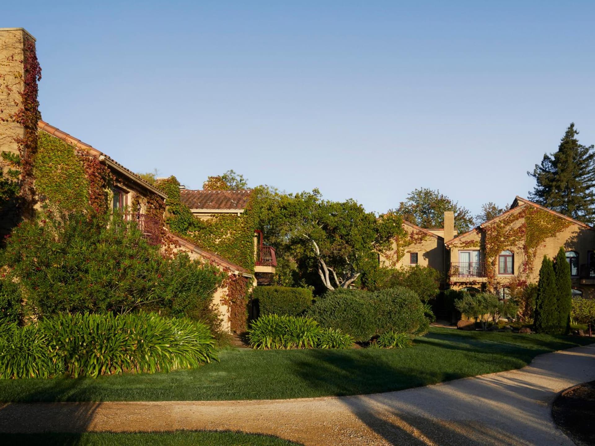 Vinarosa Resort & Spa gallery photo in Santa Rosa, CA — image 40