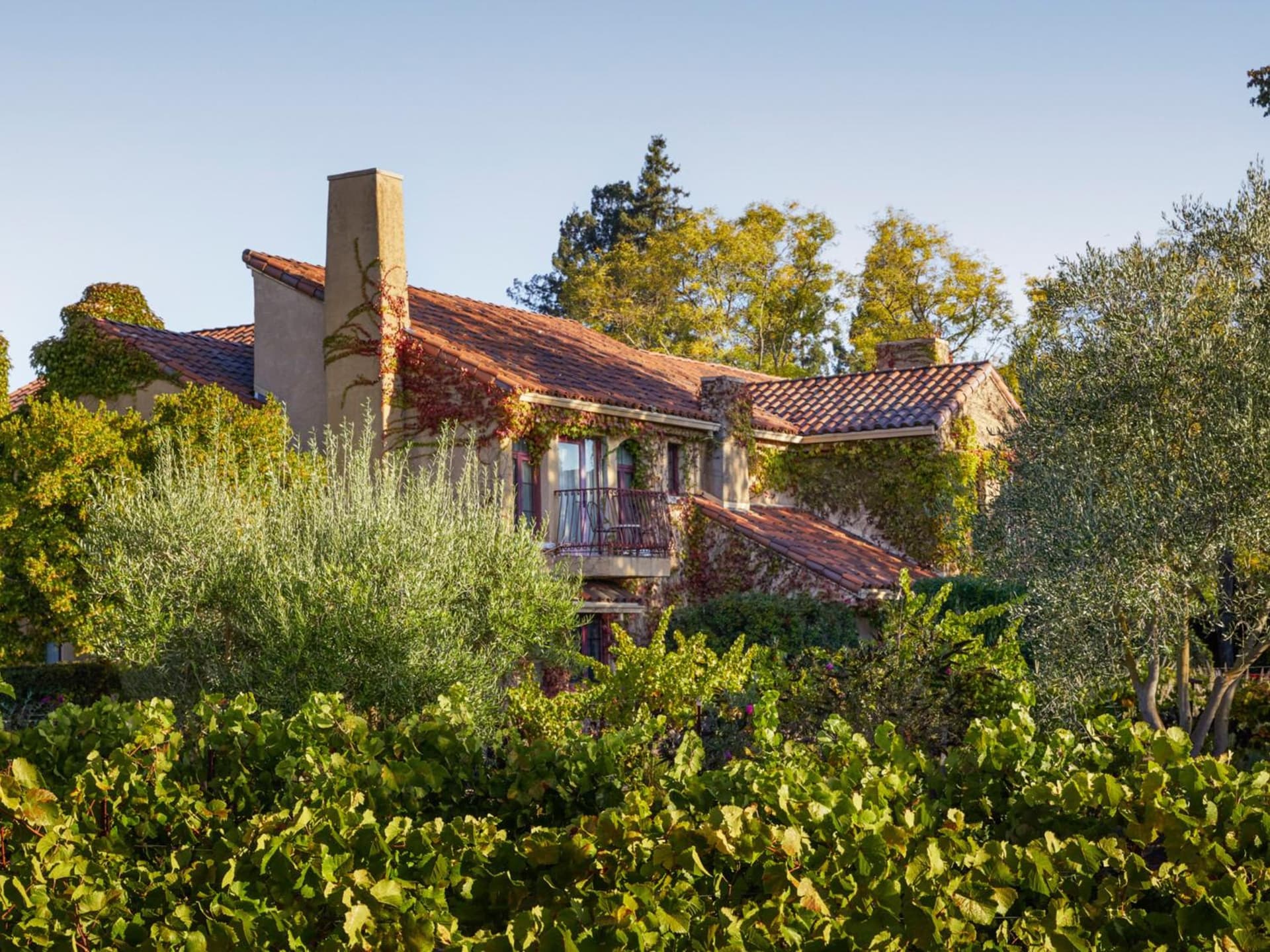 Vinarosa Resort & Spa gallery photo in Santa Rosa, CA — image 10