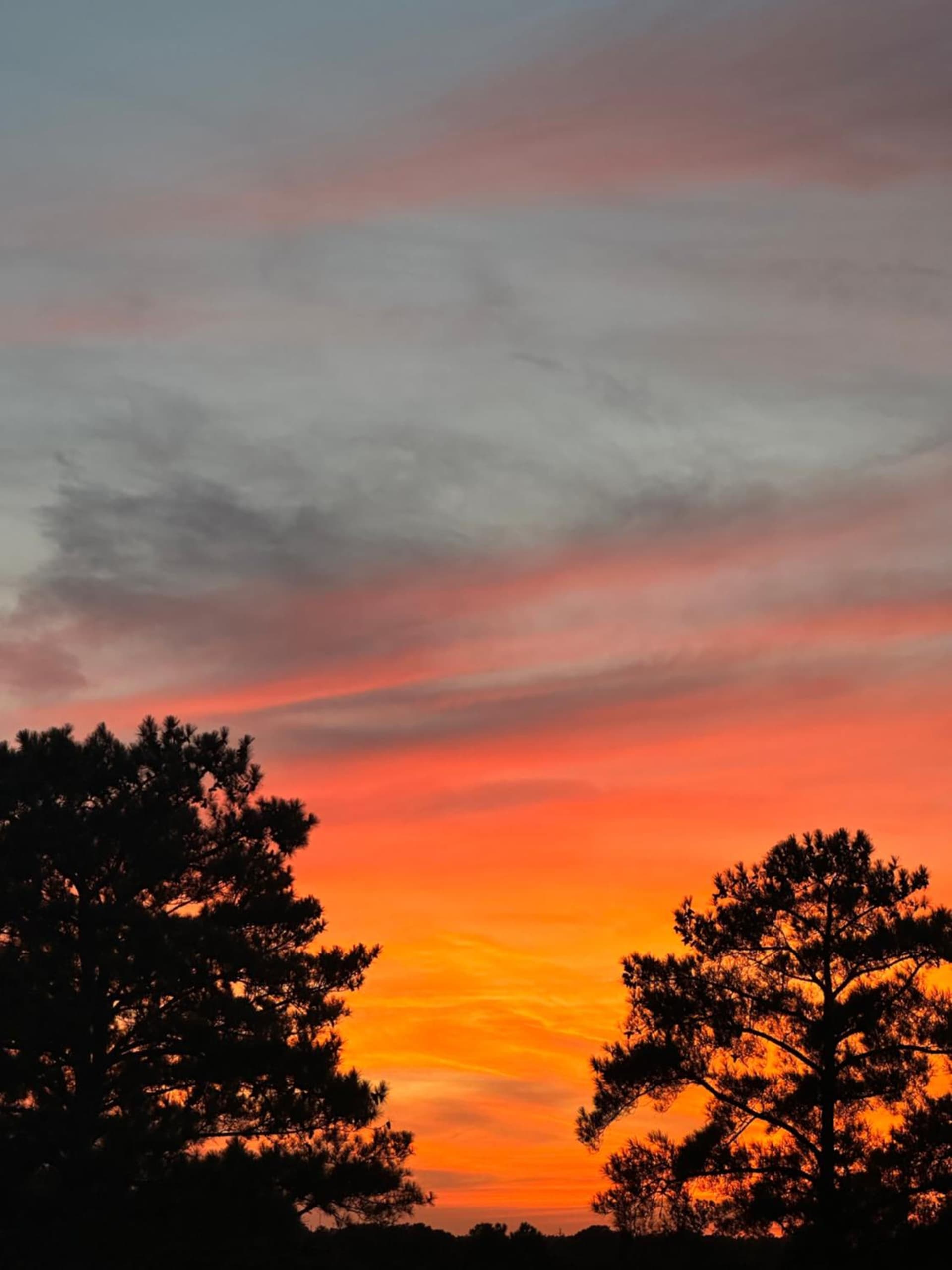 La Quinta Inn by Wyndham Columbia NE/Fort Jackson gallery photo in Columbia, SC — image 38