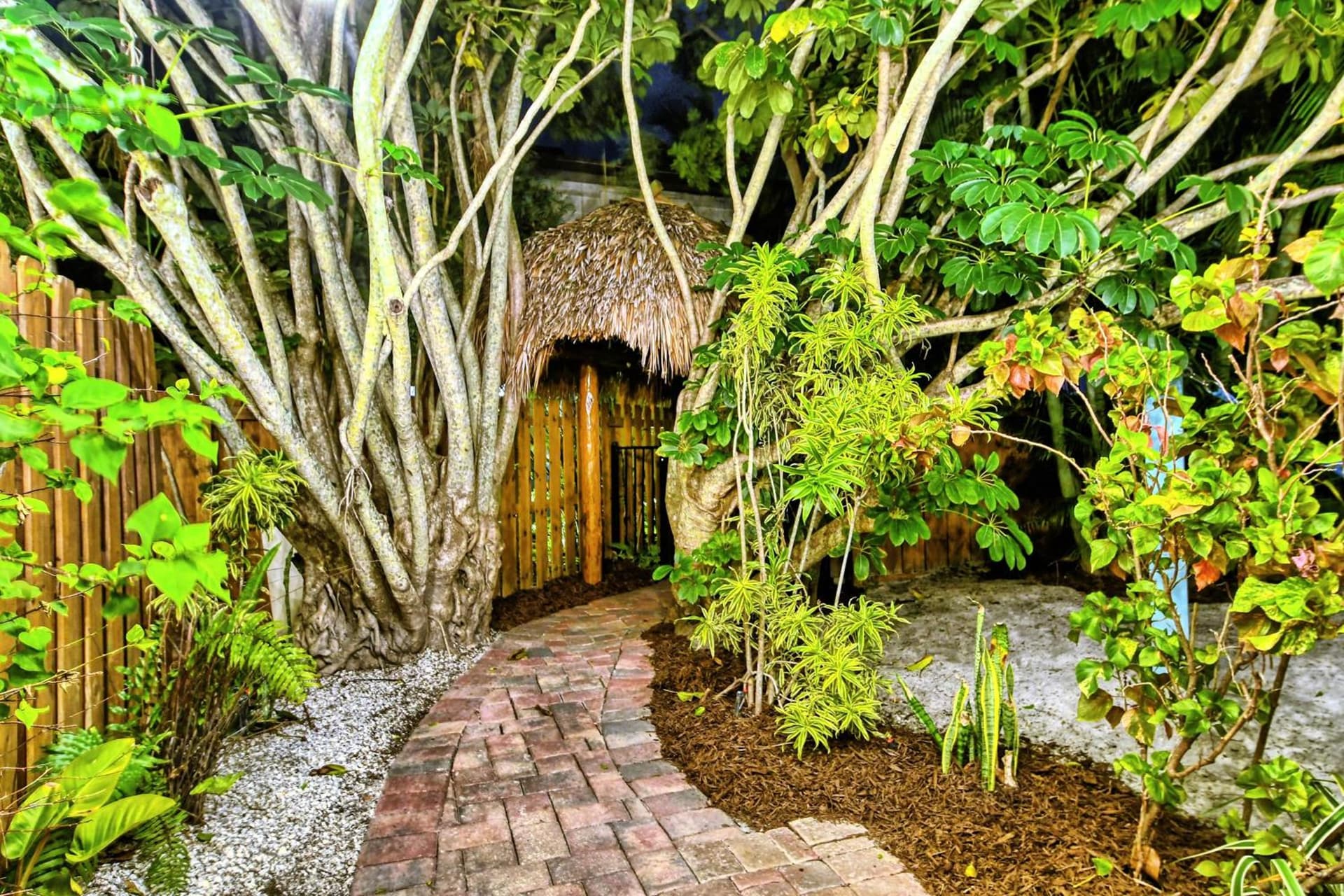 Siesta Key Palms Resort gallery photo in Sarasota, FL — image 244