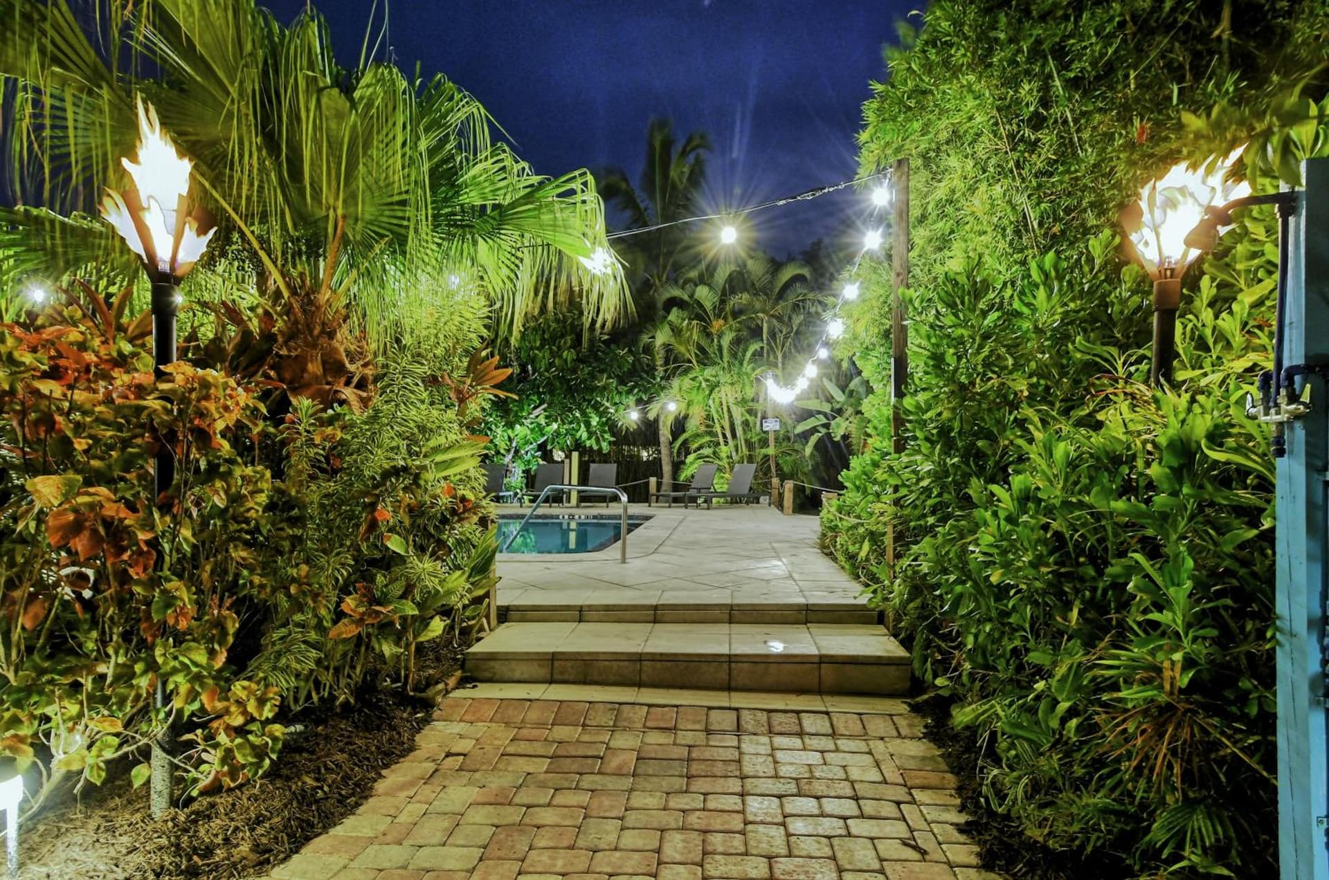 Siesta Key Palms Resort gallery photo in Sarasota, FL — image 194
