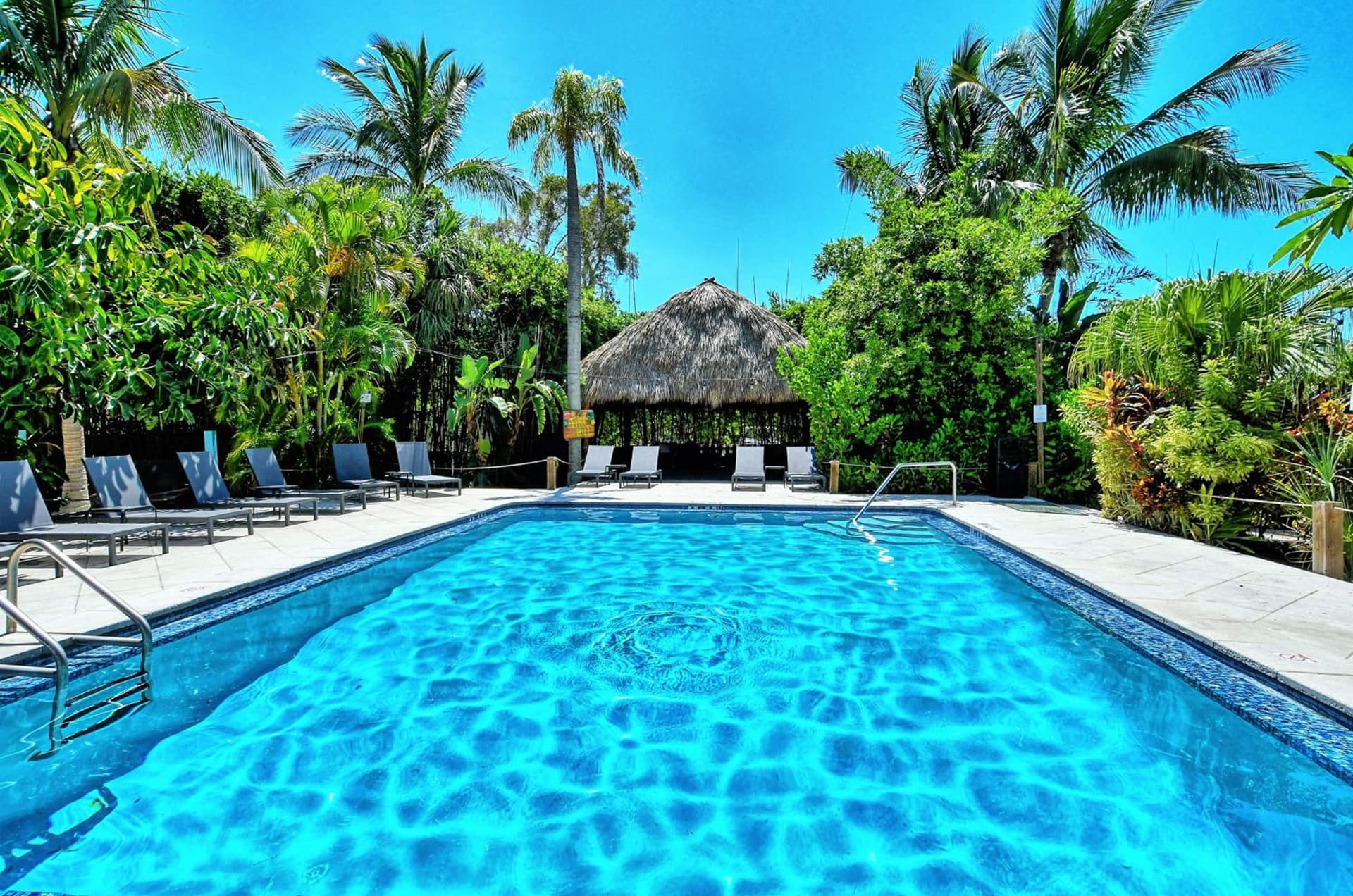 Siesta Key Palms Resort gallery photo in Sarasota, FL — image 109