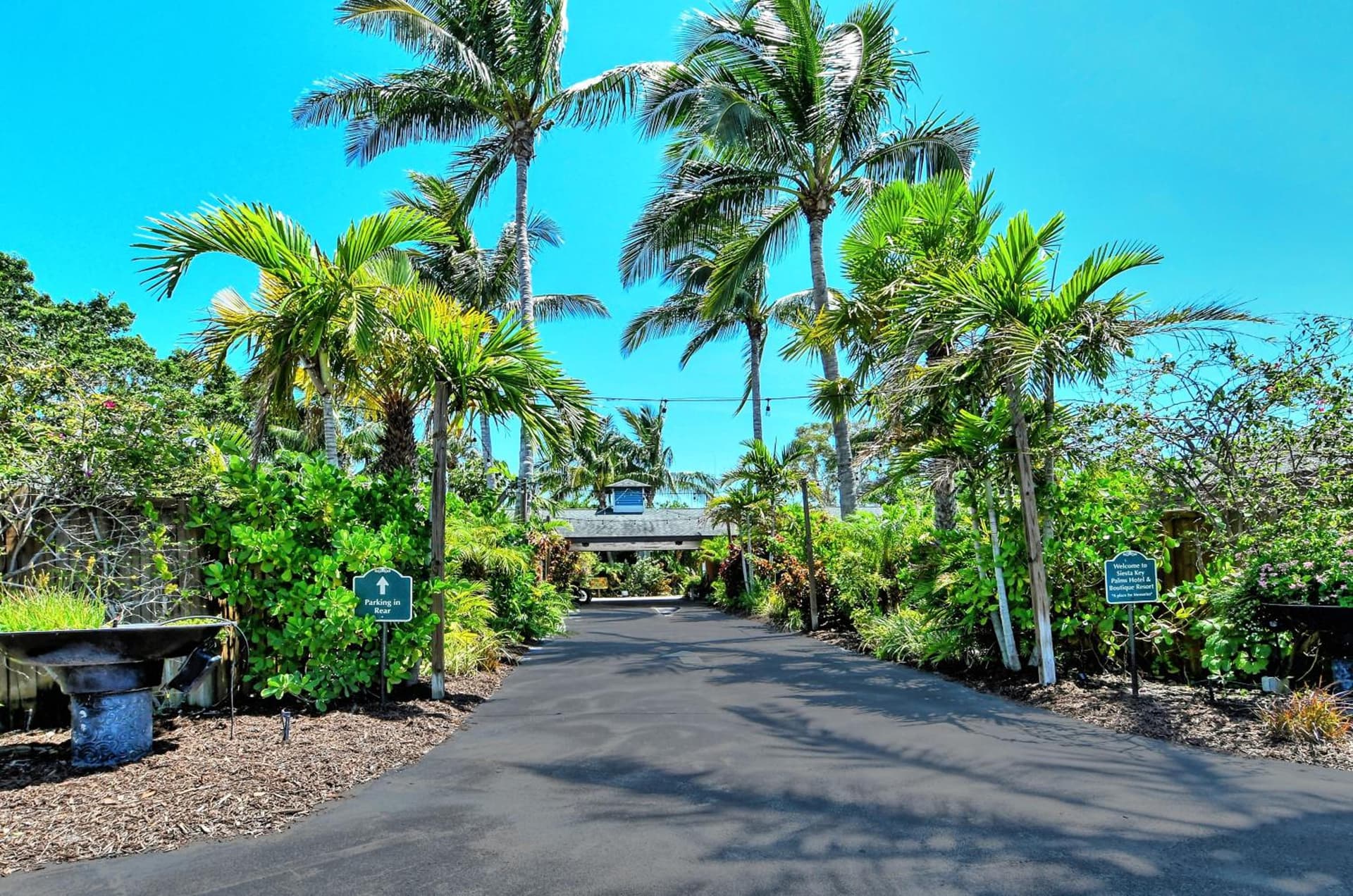 Siesta Key Palms Resort gallery photo in Sarasota, FL — image 210