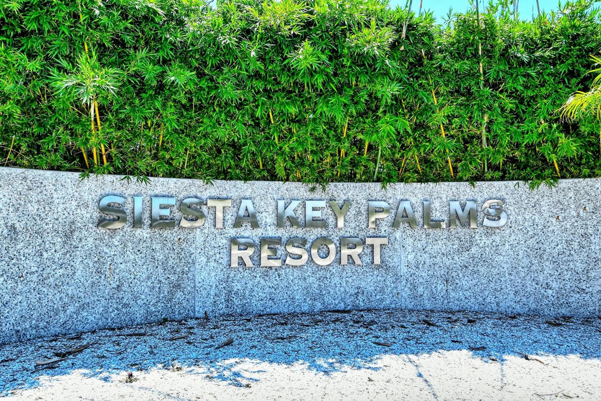 Siesta Key Palms Resort gallery photo in Sarasota, FL — image 176