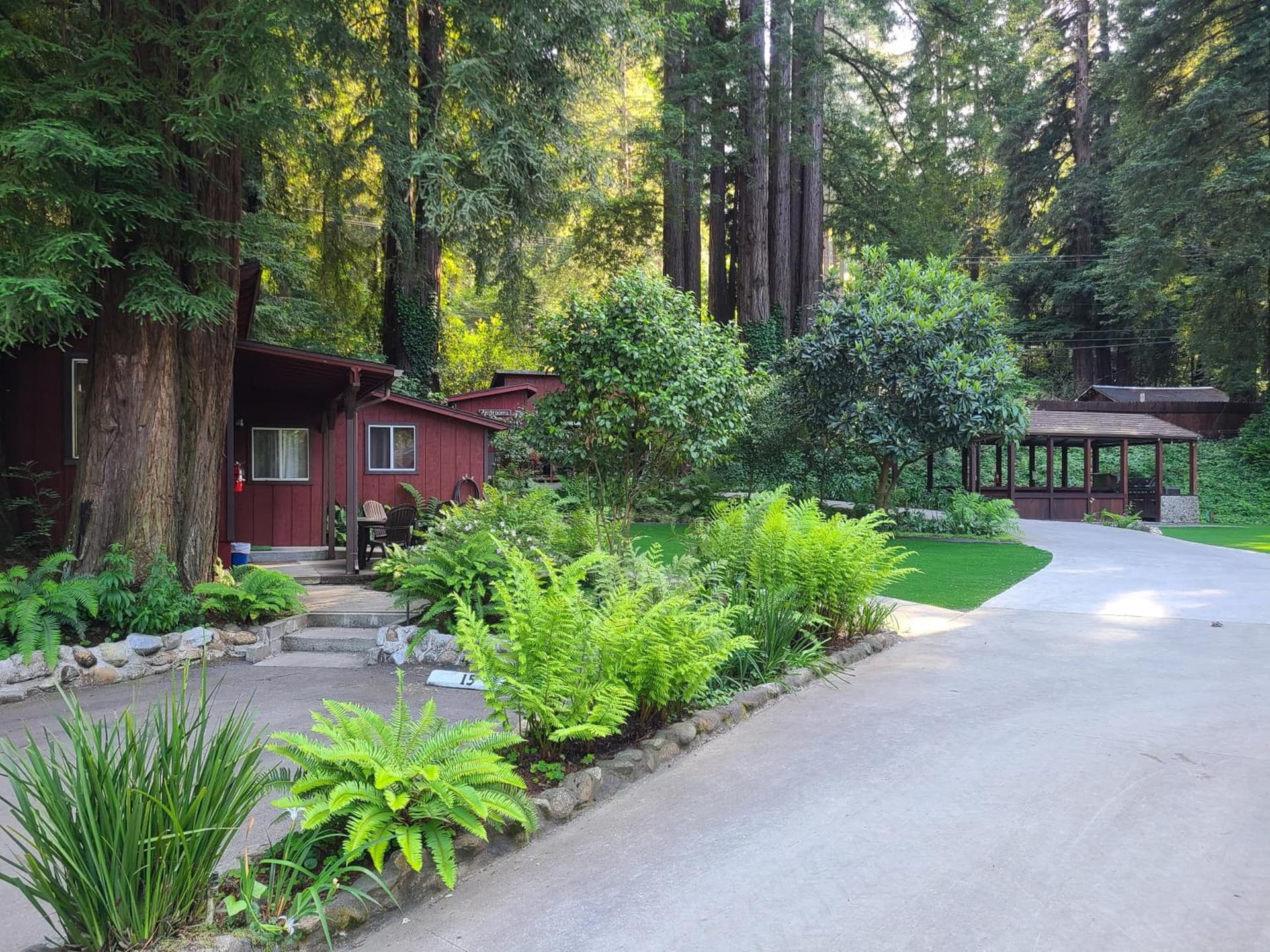 Fern River Resort gallery photo in Felton, CA — image 110
