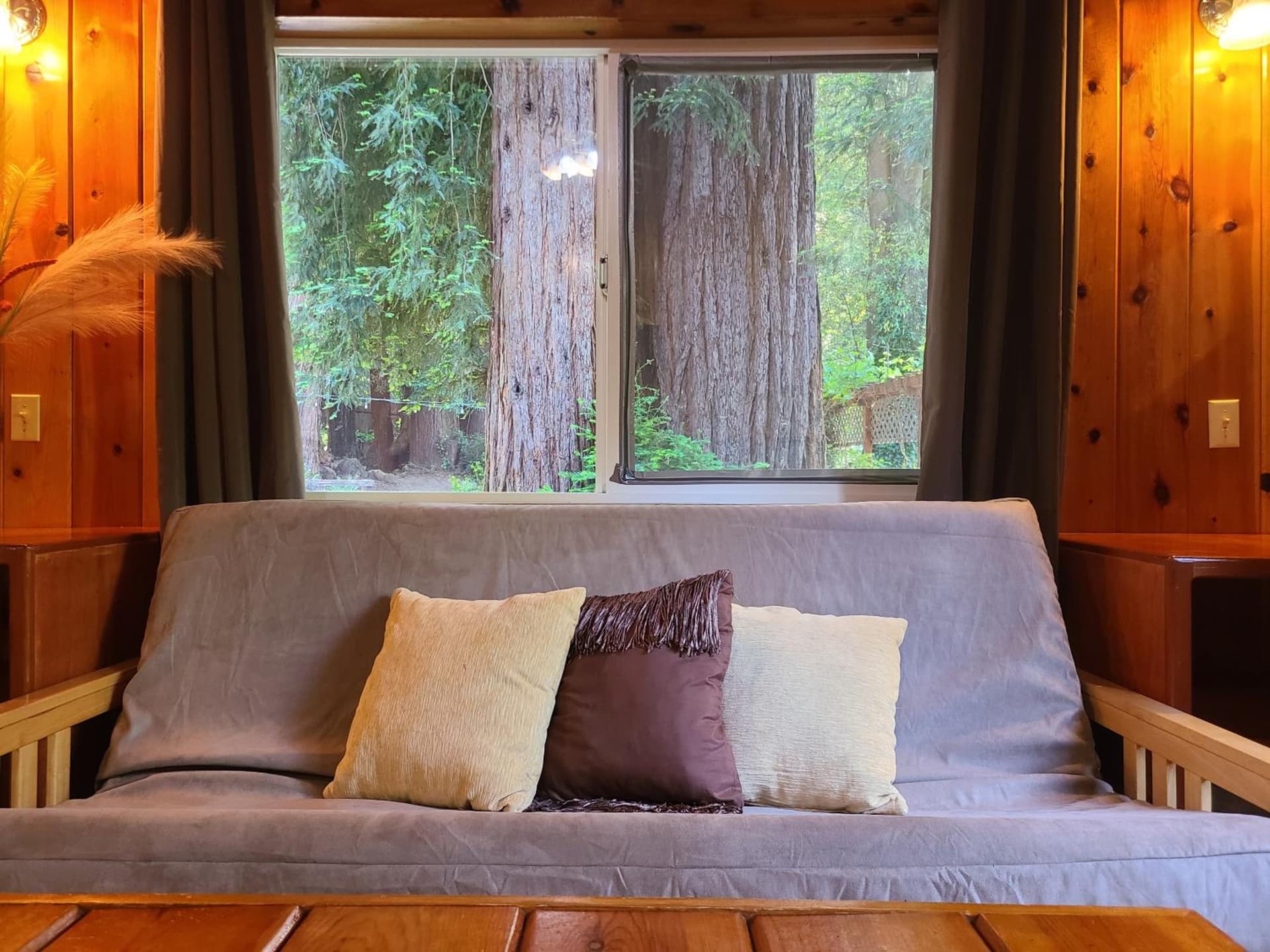 Fern River Resort gallery photo in Felton, CA — image 125