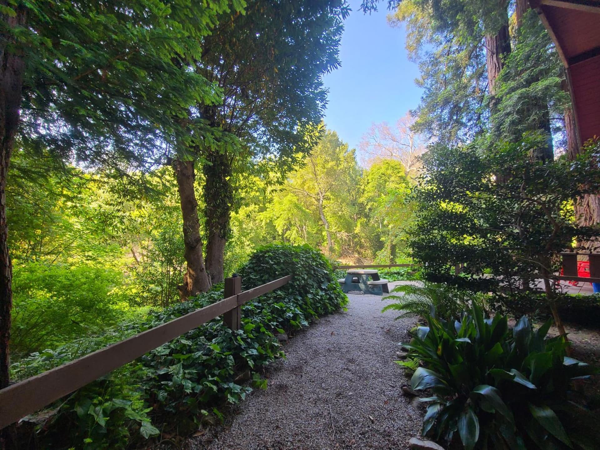 Fern River Resort gallery photo in Felton, CA — image 63