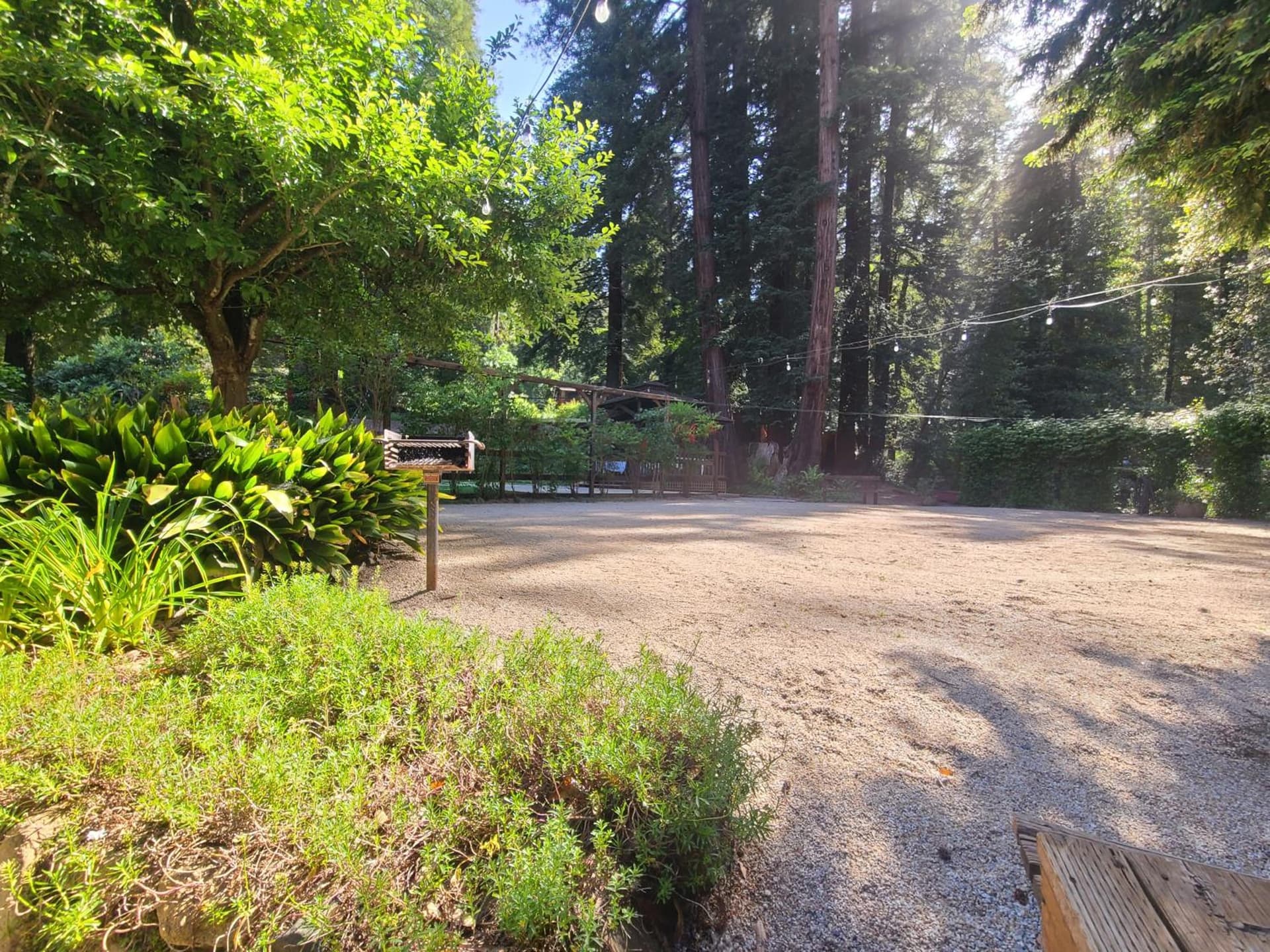 Fern River Resort gallery photo in Felton, CA — image 58