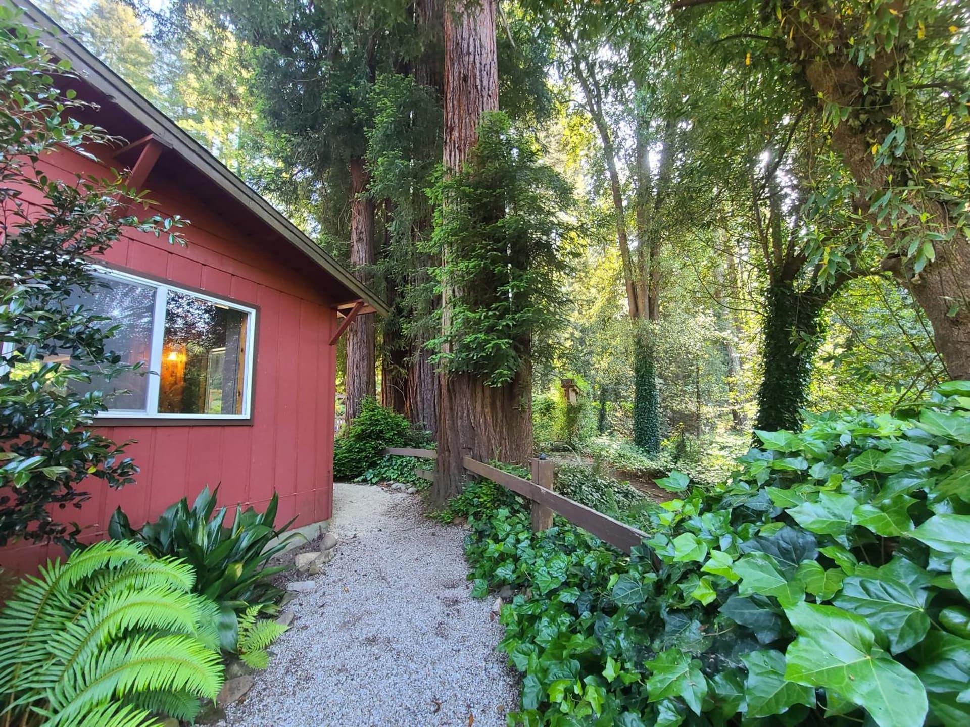 Fern River Resort gallery photo in Felton, CA — image 21