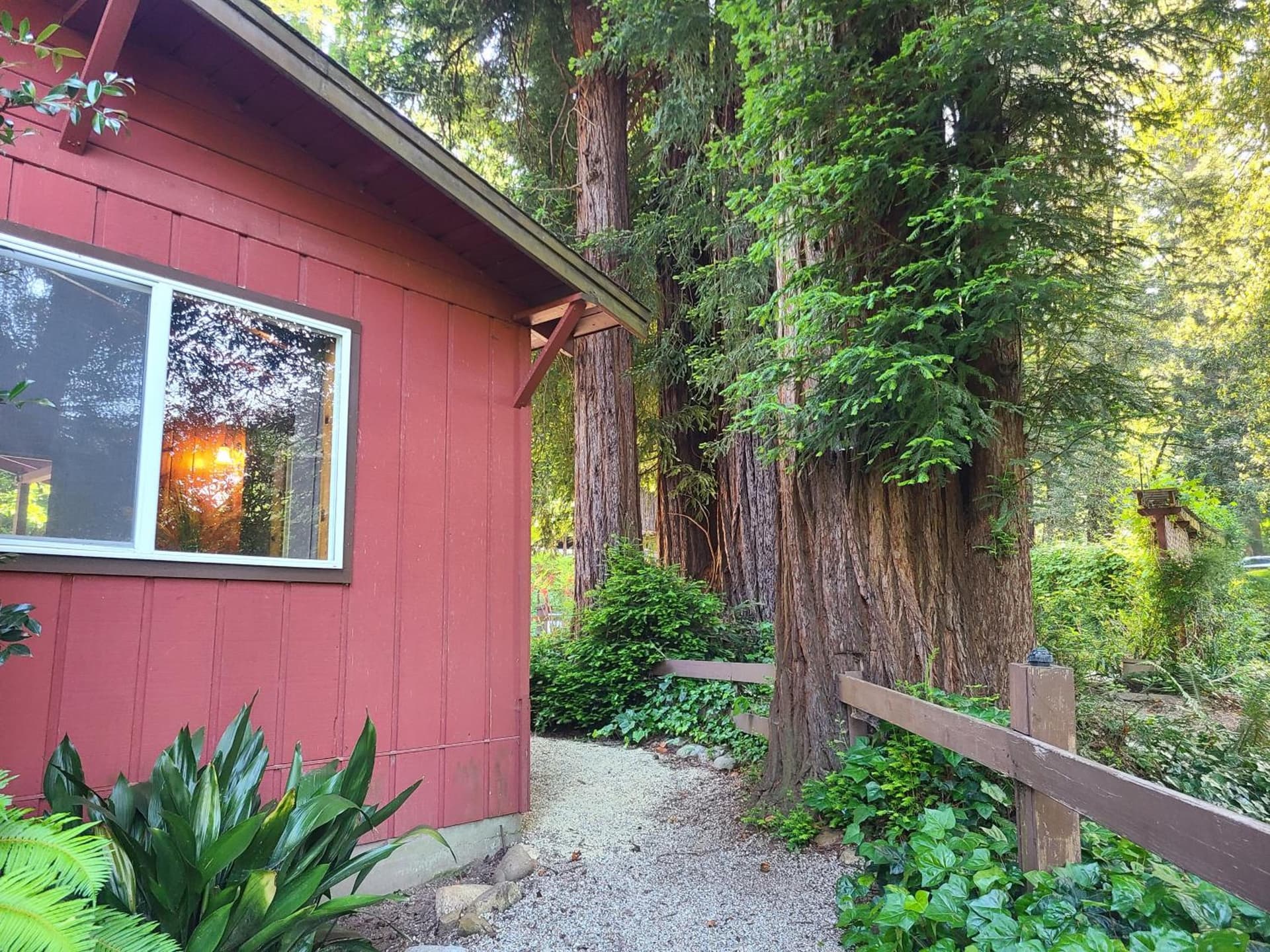 Fern River Resort gallery photo in Felton, CA — image 32