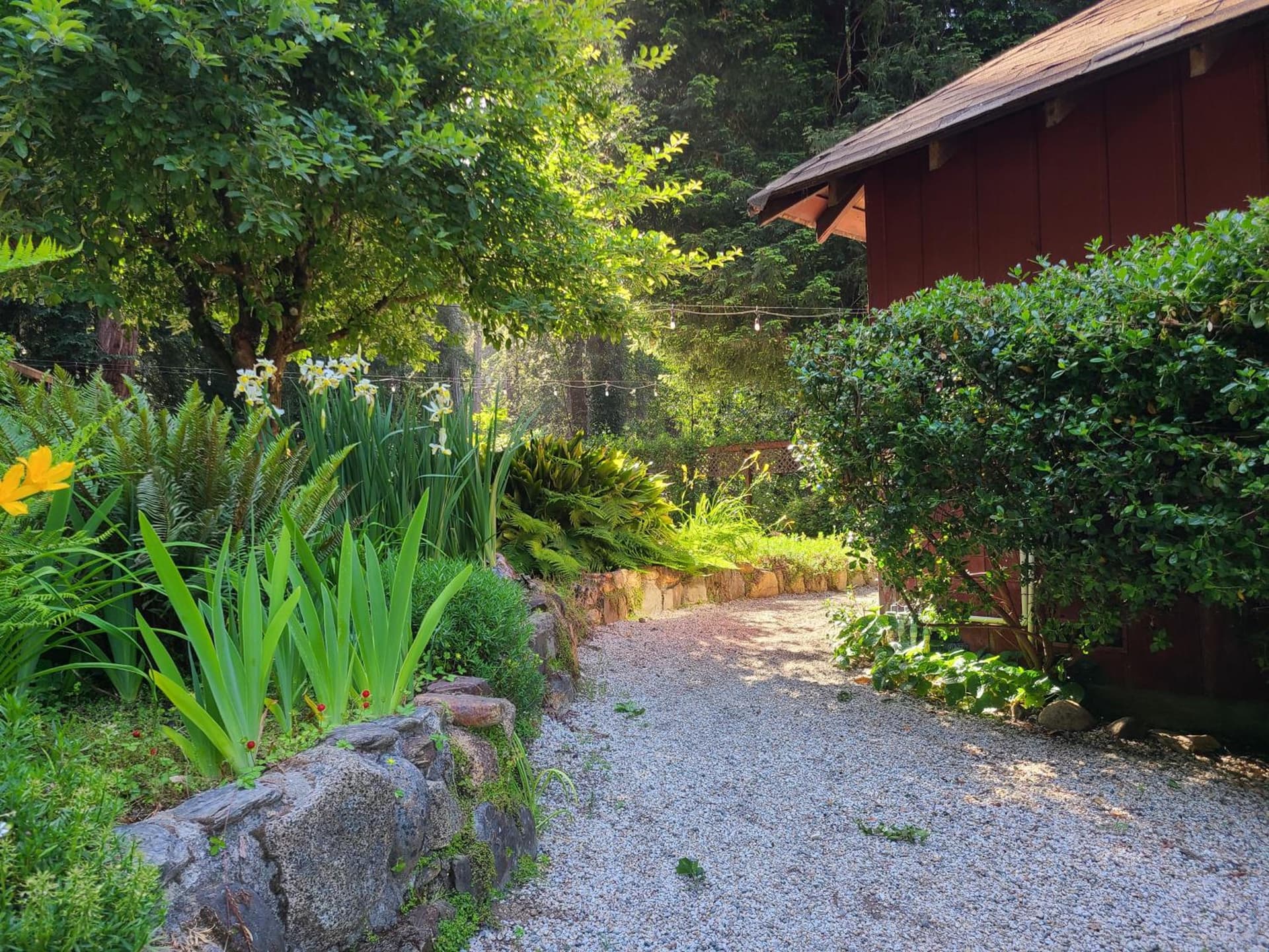 Fern River Resort gallery photo in Felton, CA — image 20
