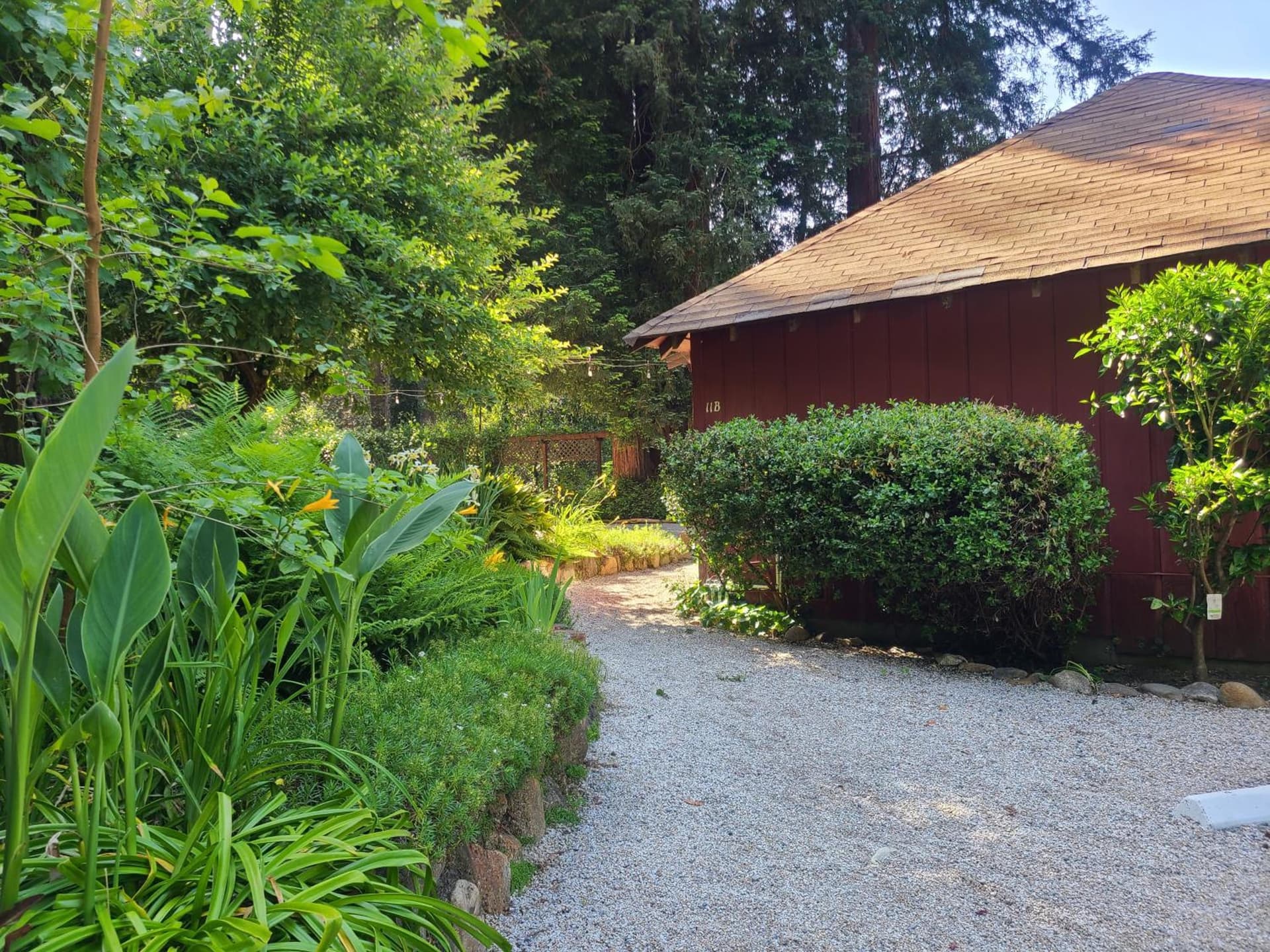 Fern River Resort gallery photo in Felton, CA — image 71